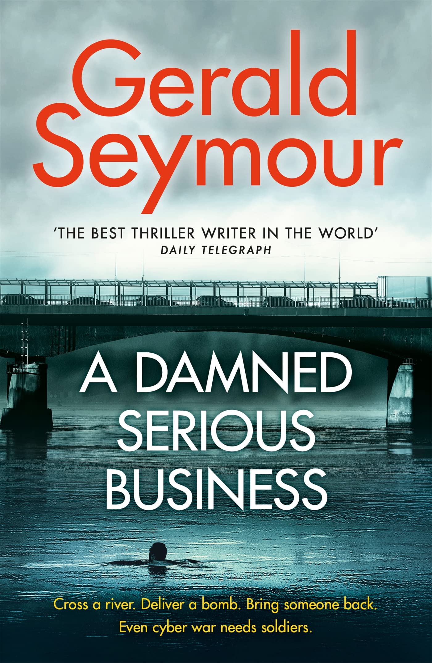 A DAMNED SERIOUS BUSINESS