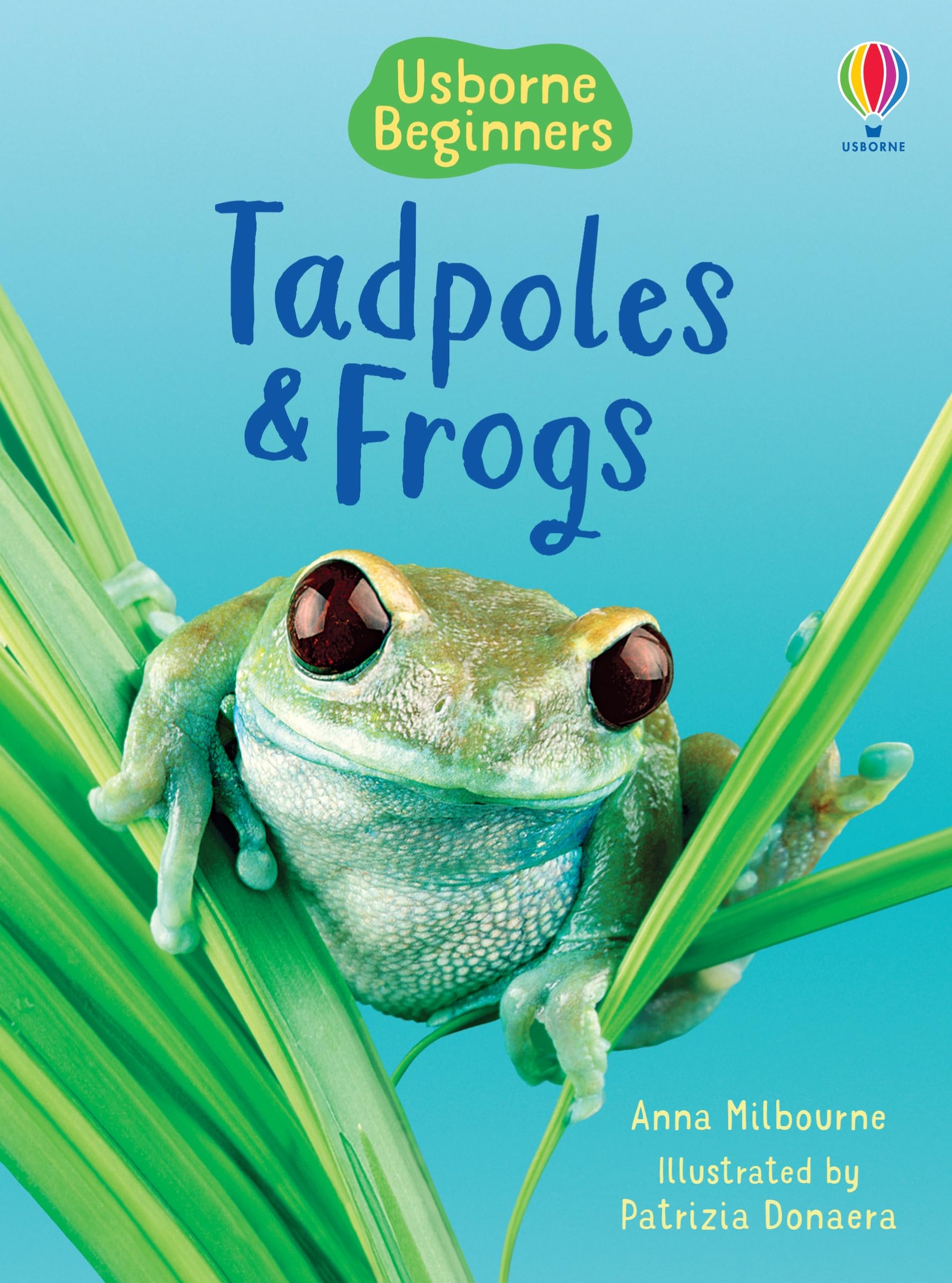 Tadpoles & Frogs  Usborne Beginners