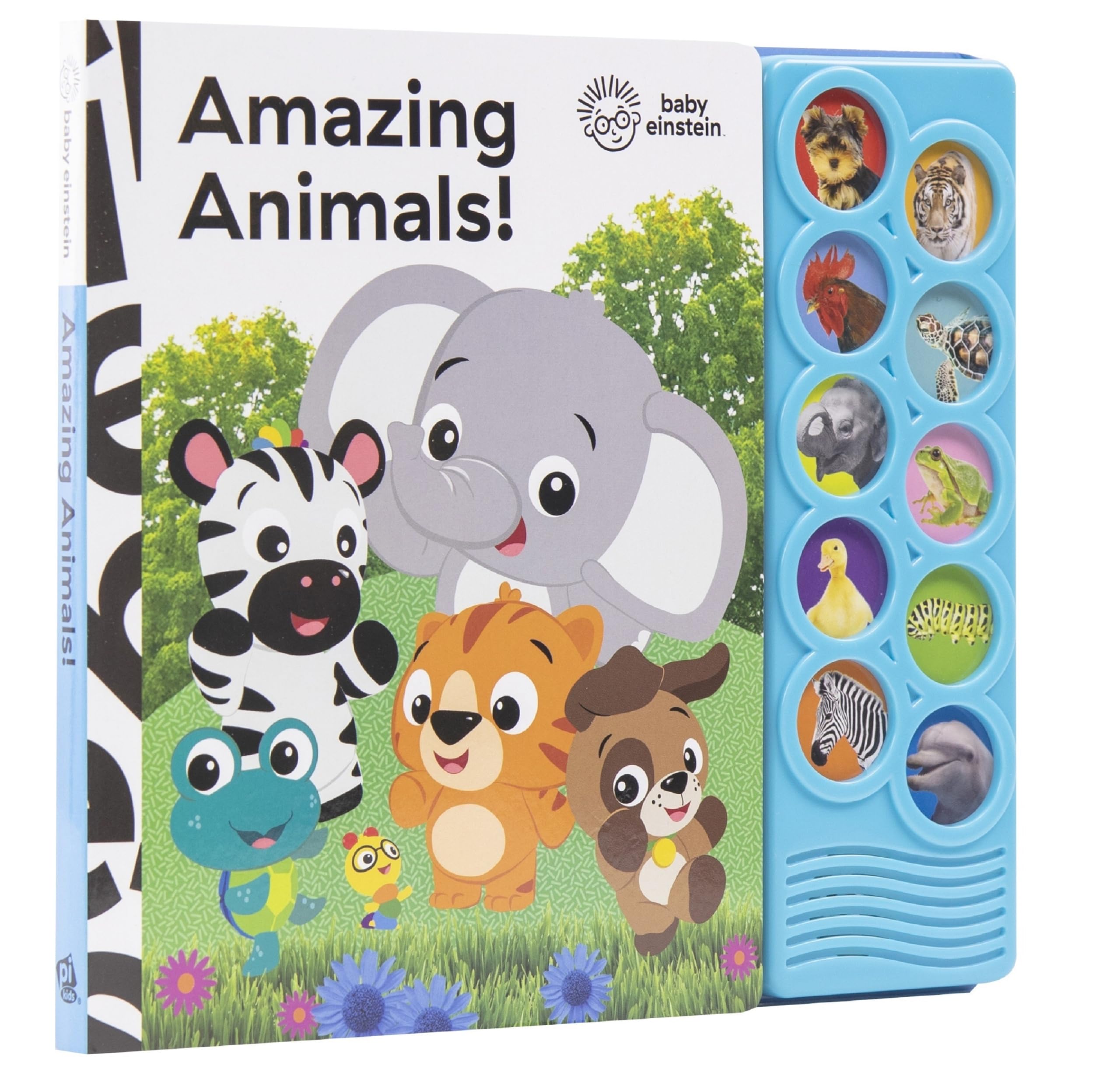 Baby Einstein  Amazing Animals 10Button Sound Book  PI Kids (PlayASound)