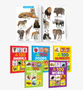 My First 100  Animals, Foods, Numbers, Things that Move and more : everyday words collection, bright image reference, beginner