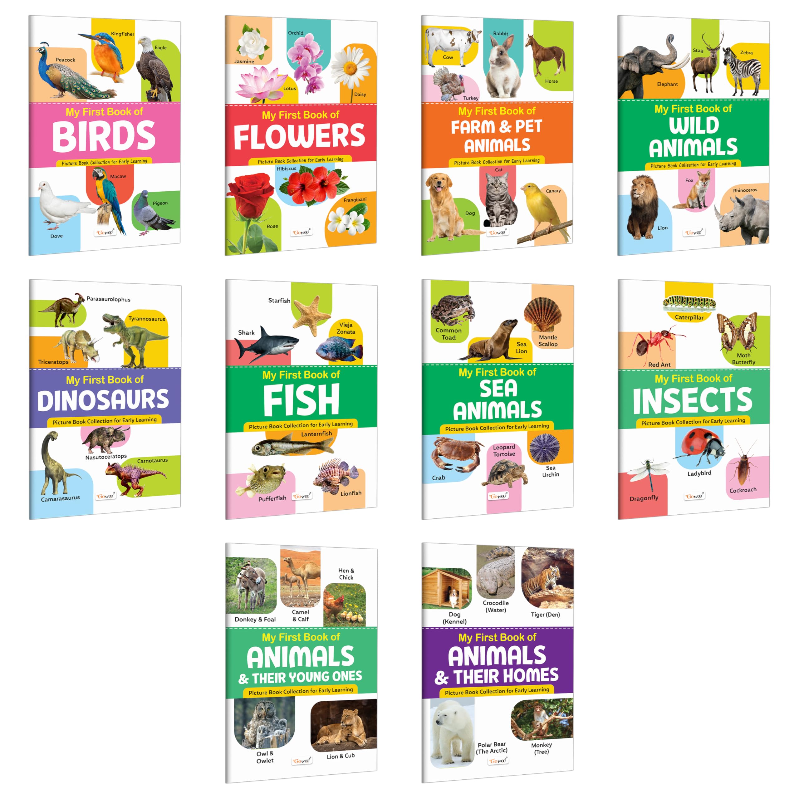 My First Book of Birds, Flowers, Farm & Pet Animals, Wild Animals and more : first nature books for kids, educational books for