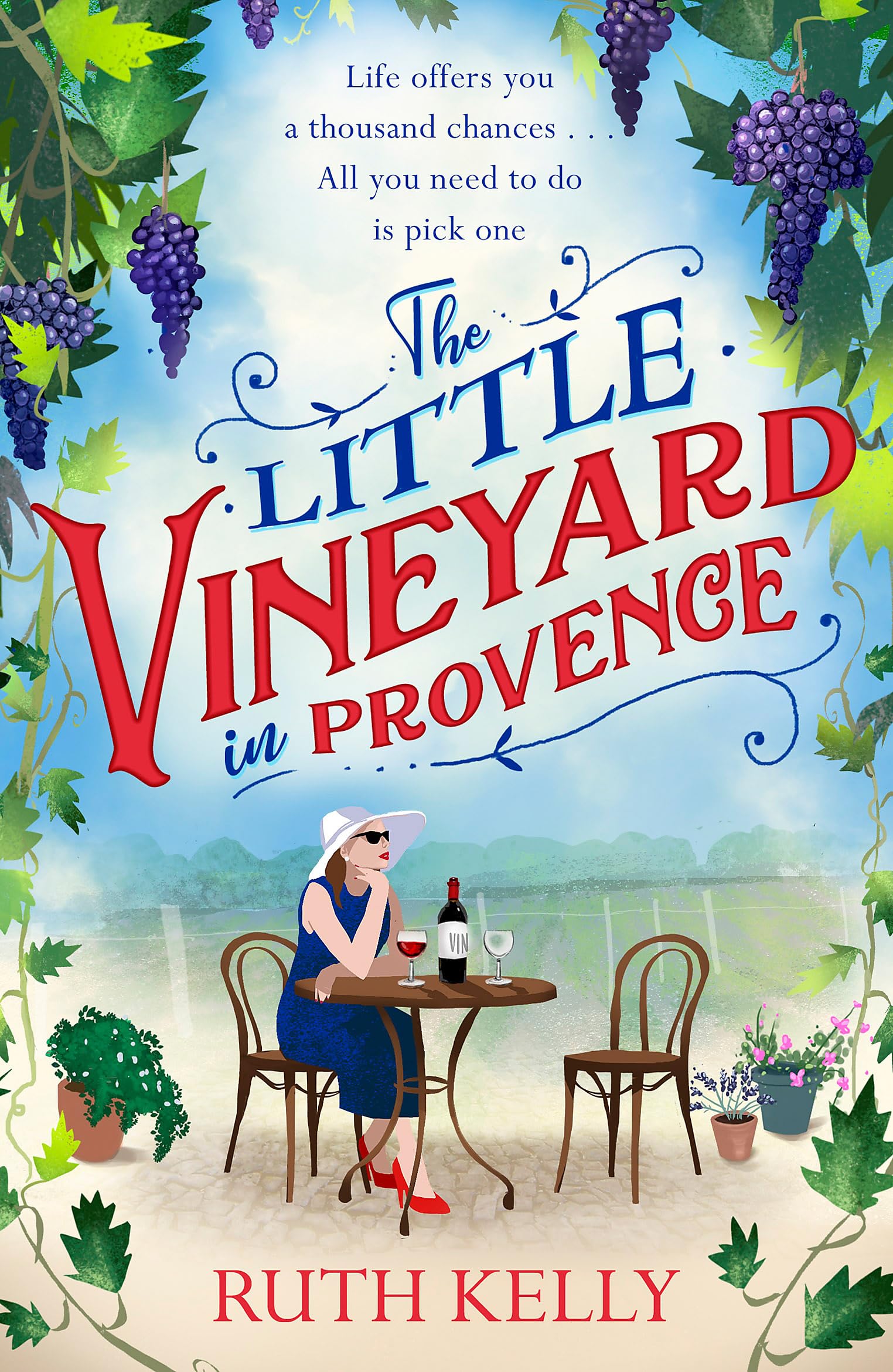 The little vineyard in provence