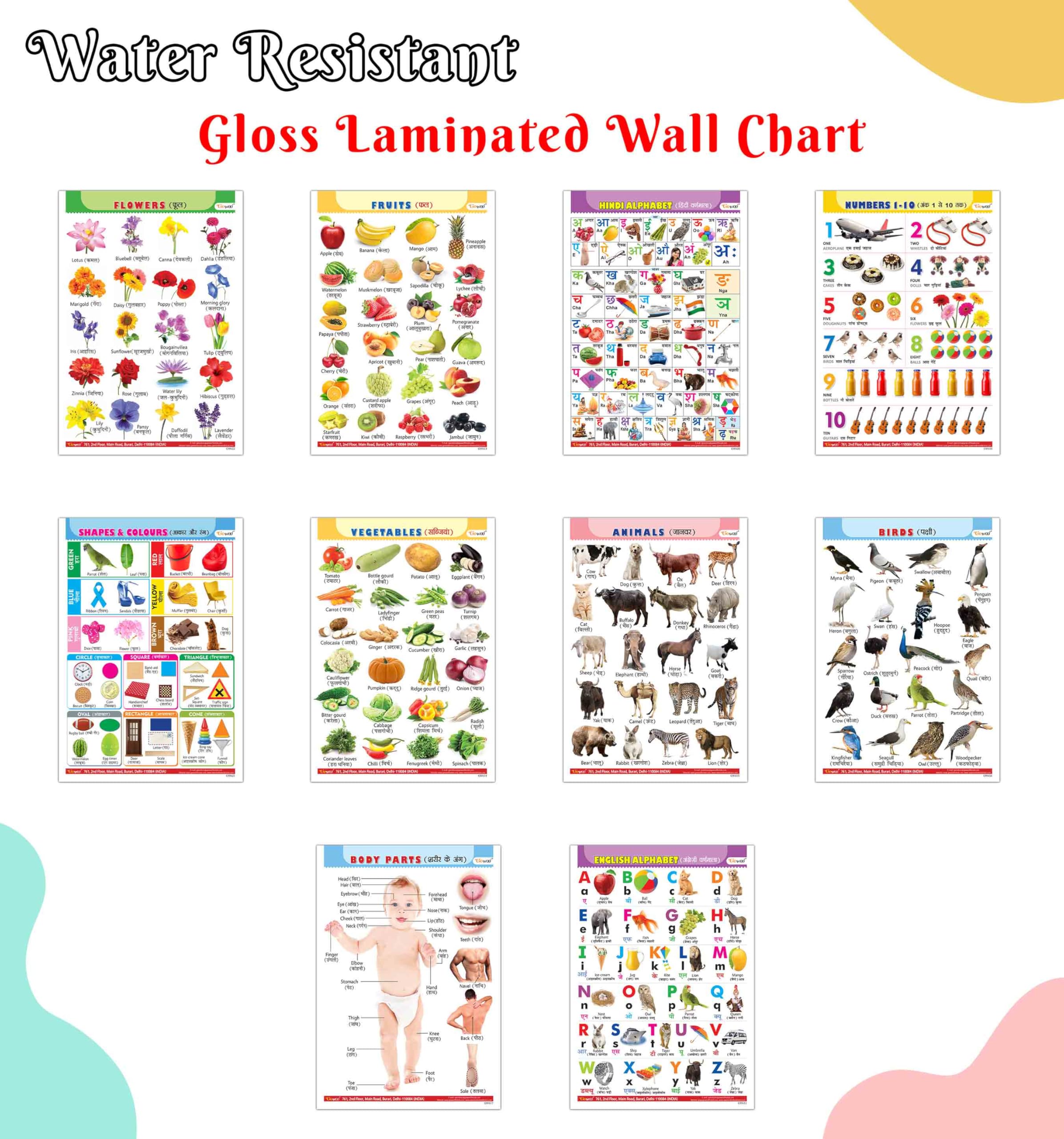 Fun Educational Chart Collection for Kids : Alphabet, Fruits, Vegetables, Animals Birds, and More EnglishHindi Gloss Laminated 