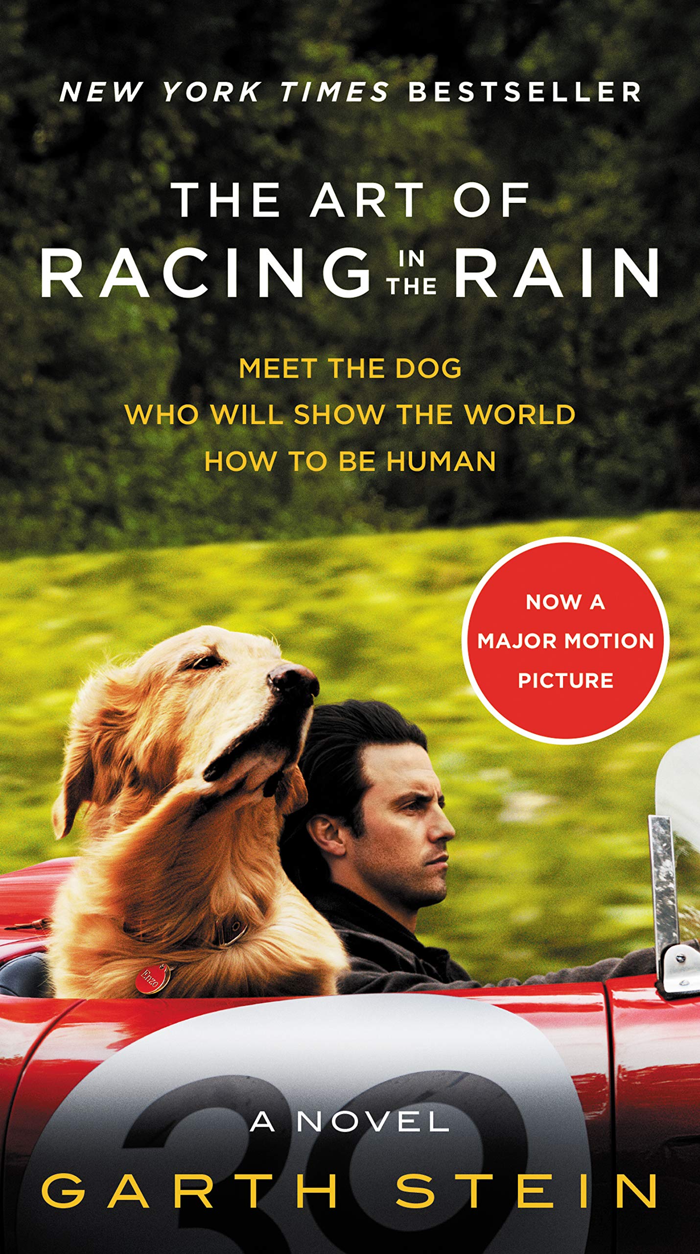 The Art of Racing in the Rain Movie Tiein Edition: A Novel