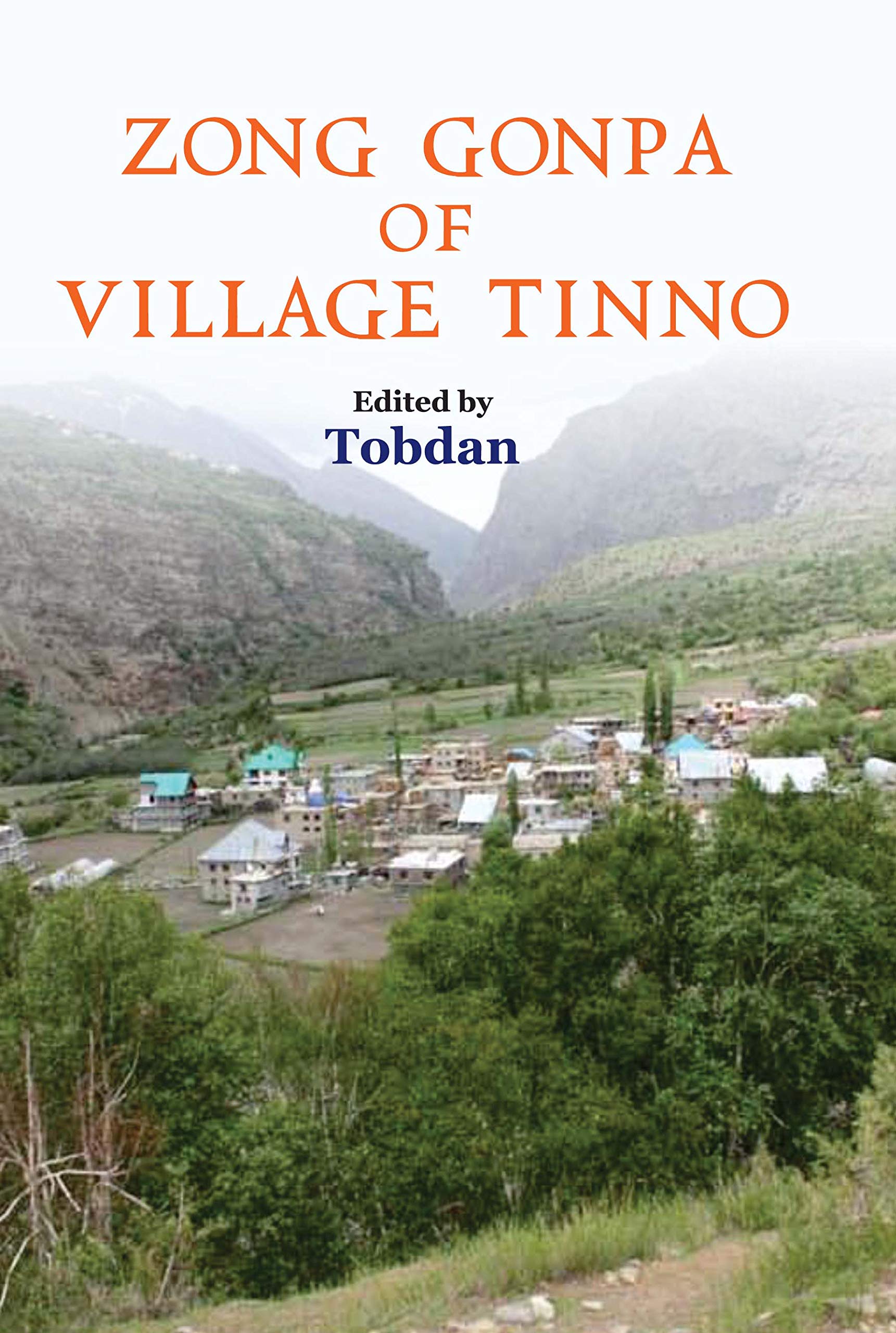 Zong Gonpa Of Village Tinno
