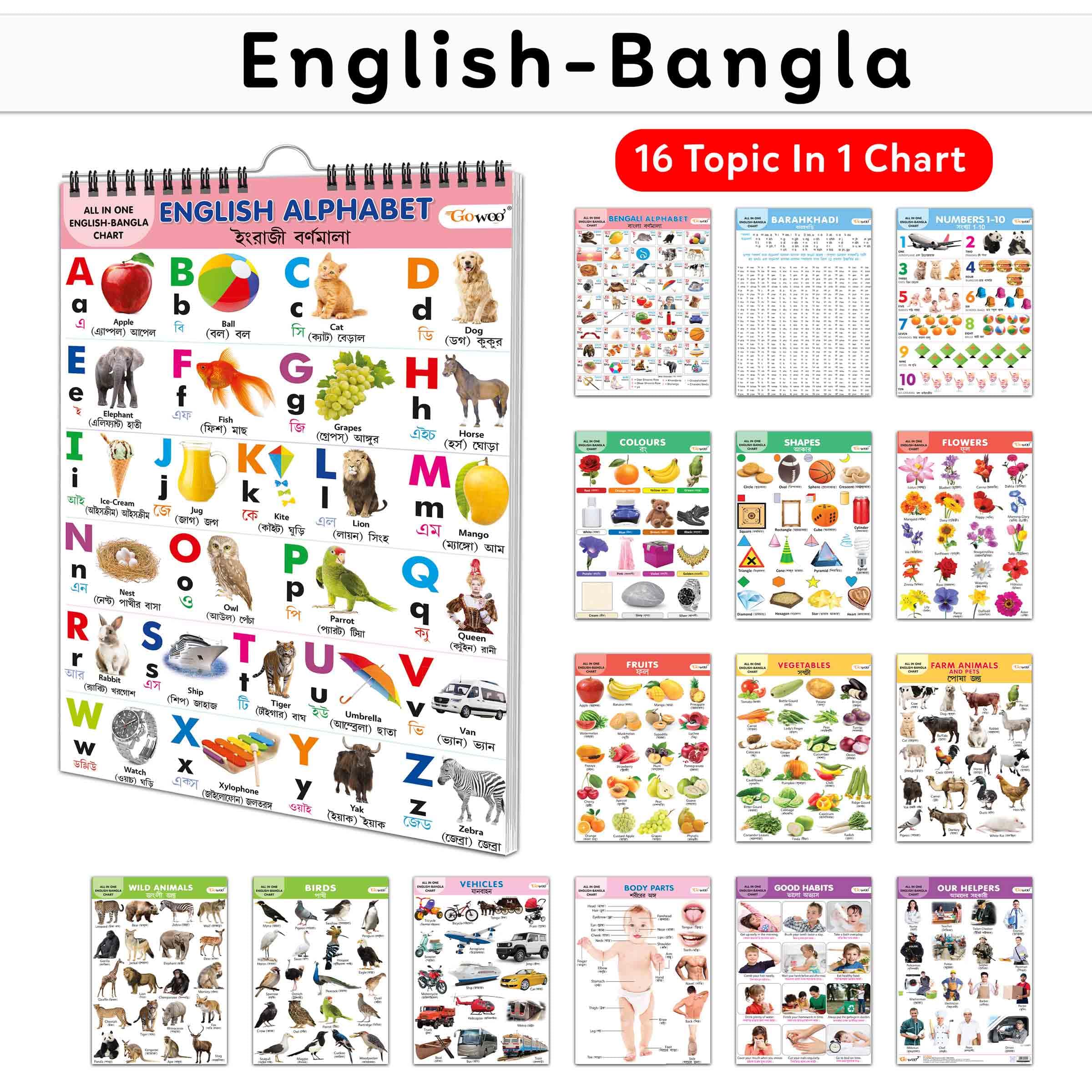 My First ALL IN ONE SPIRAL CHART ENGLISHBANGLA : Chart Book Of All In One, Early childhood learning Chart With 16 Topics, birth