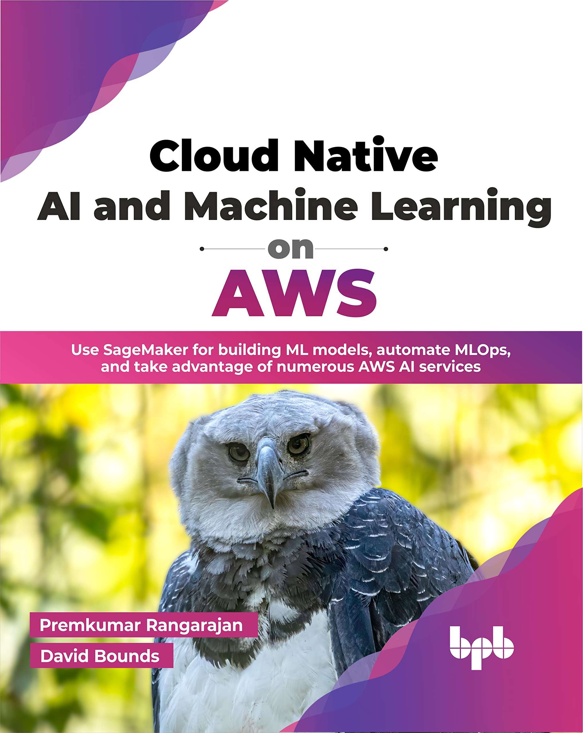 Cloud Native Ai And Machine Learning On Aws