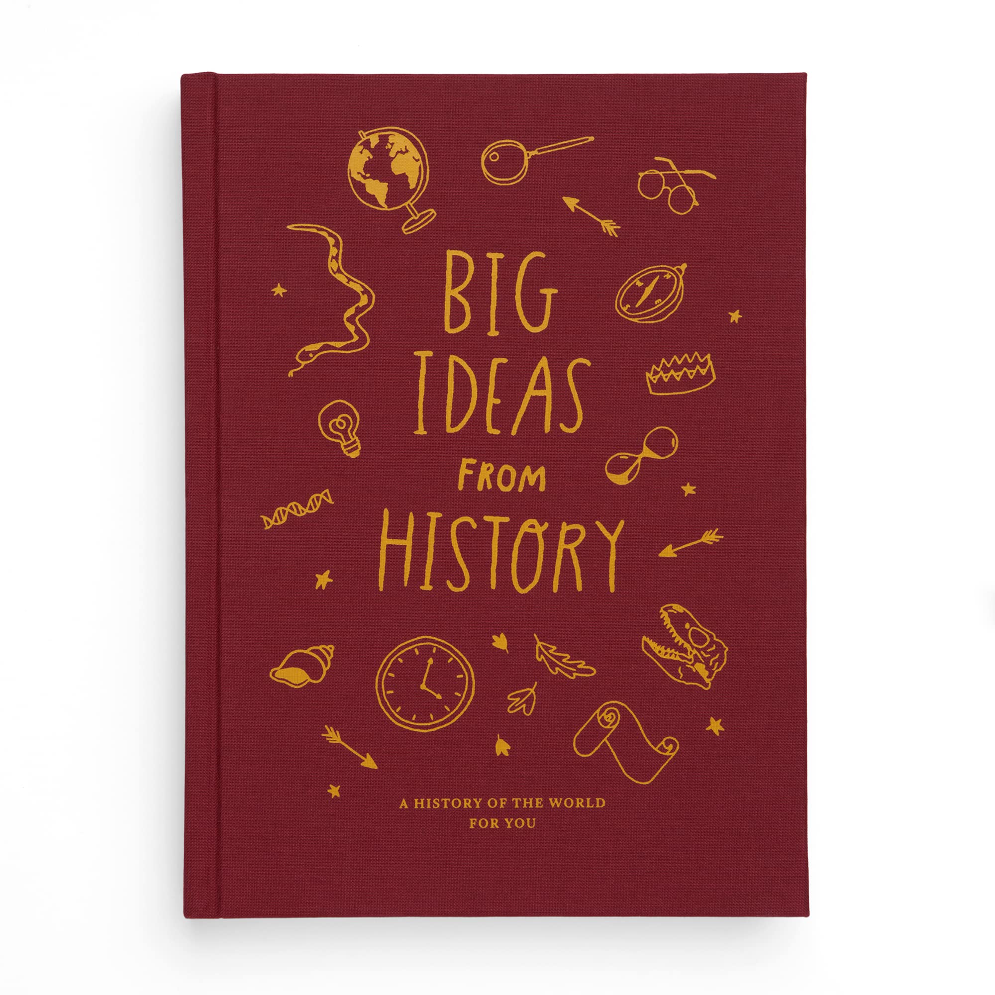 Big Ideas from History (NOP): A history of the world for you