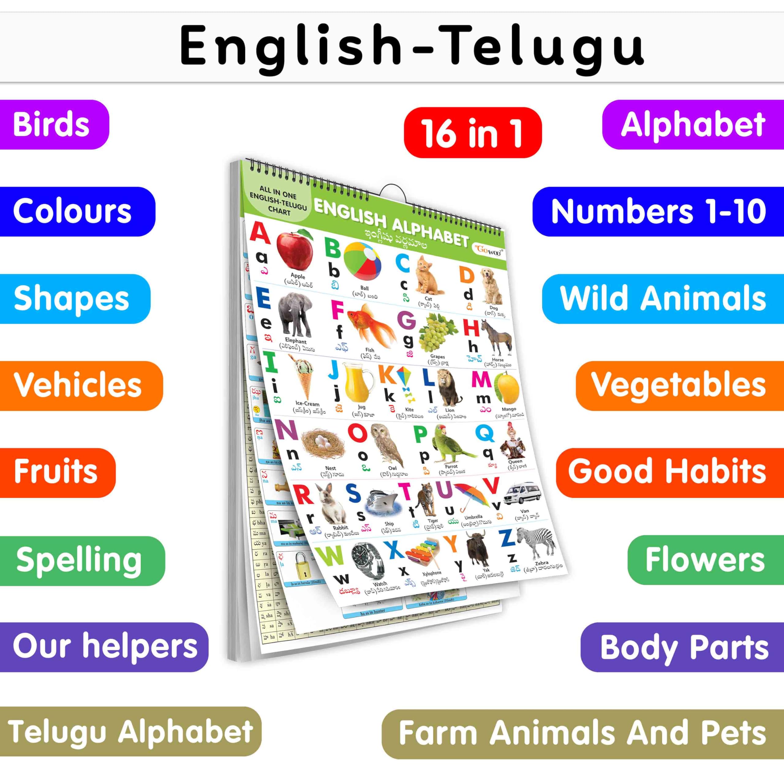 My First ALL IN ONE SPIRAL CHART ENGLISHTELUGU : Learning Chart book for kids, Educational Chart for toddlers, Collection With 
