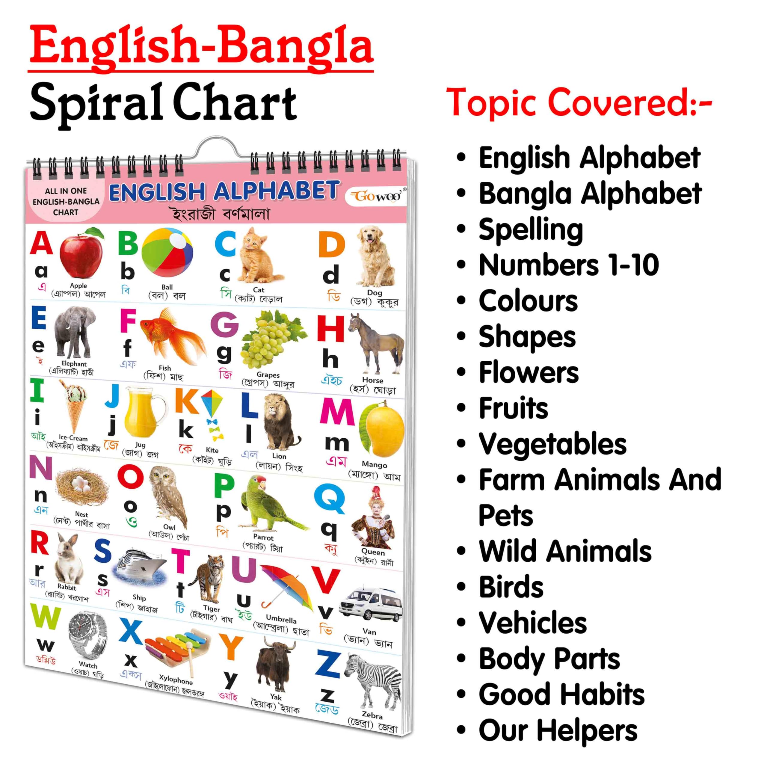 Chart Book Collections For Early Learning : Kids learning Chart book, My First ALL IN ONE SPIRAL CHART ENGLISHBANGLA Kids Cha