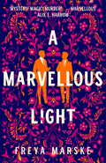 A Marvellous Light (The Last Binding, 1)