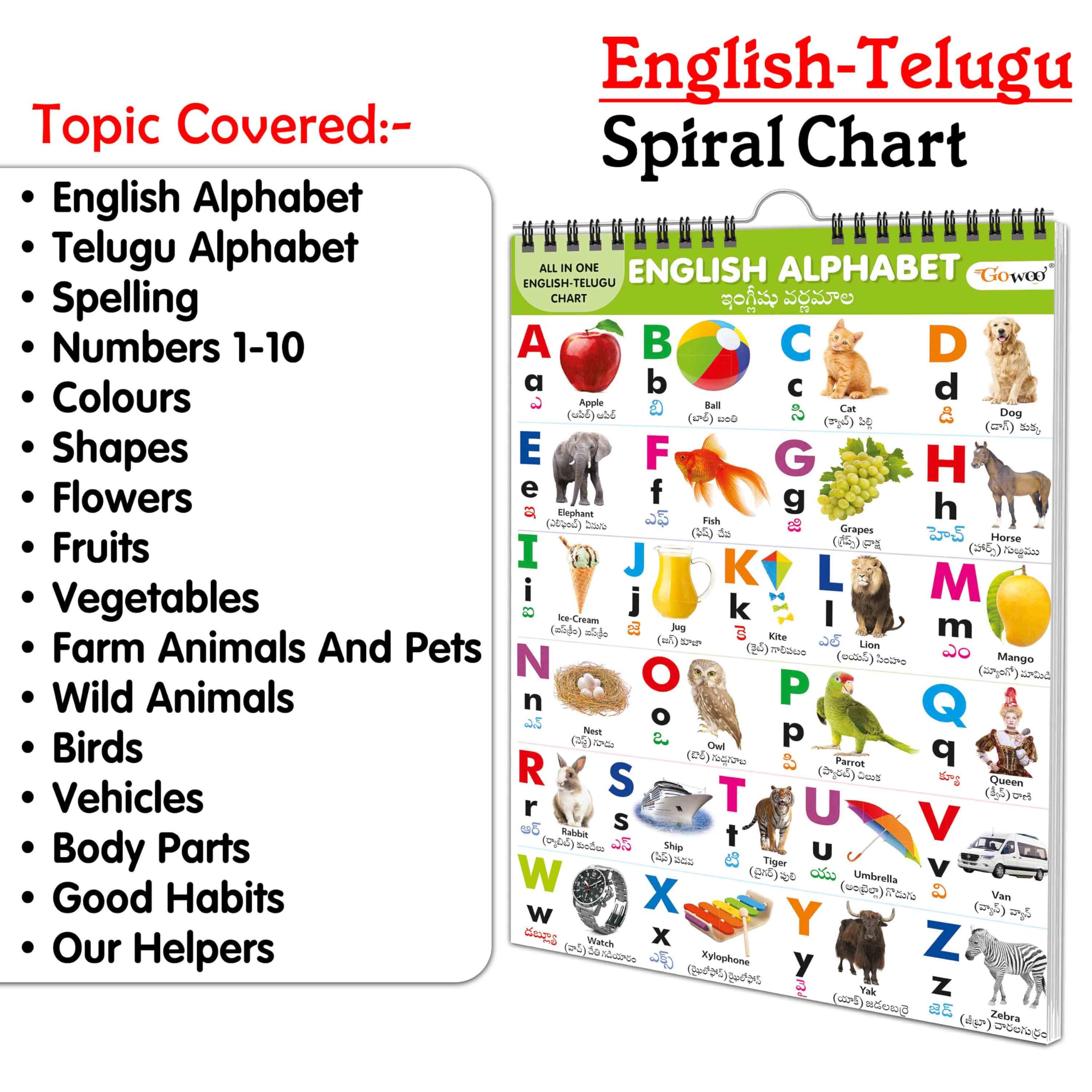 My First ALL IN ONE SPIRAL CHART ENGLISHTELUGU : With 16 Topics : (Big Fonts and Realistic Pictures) kids Chart