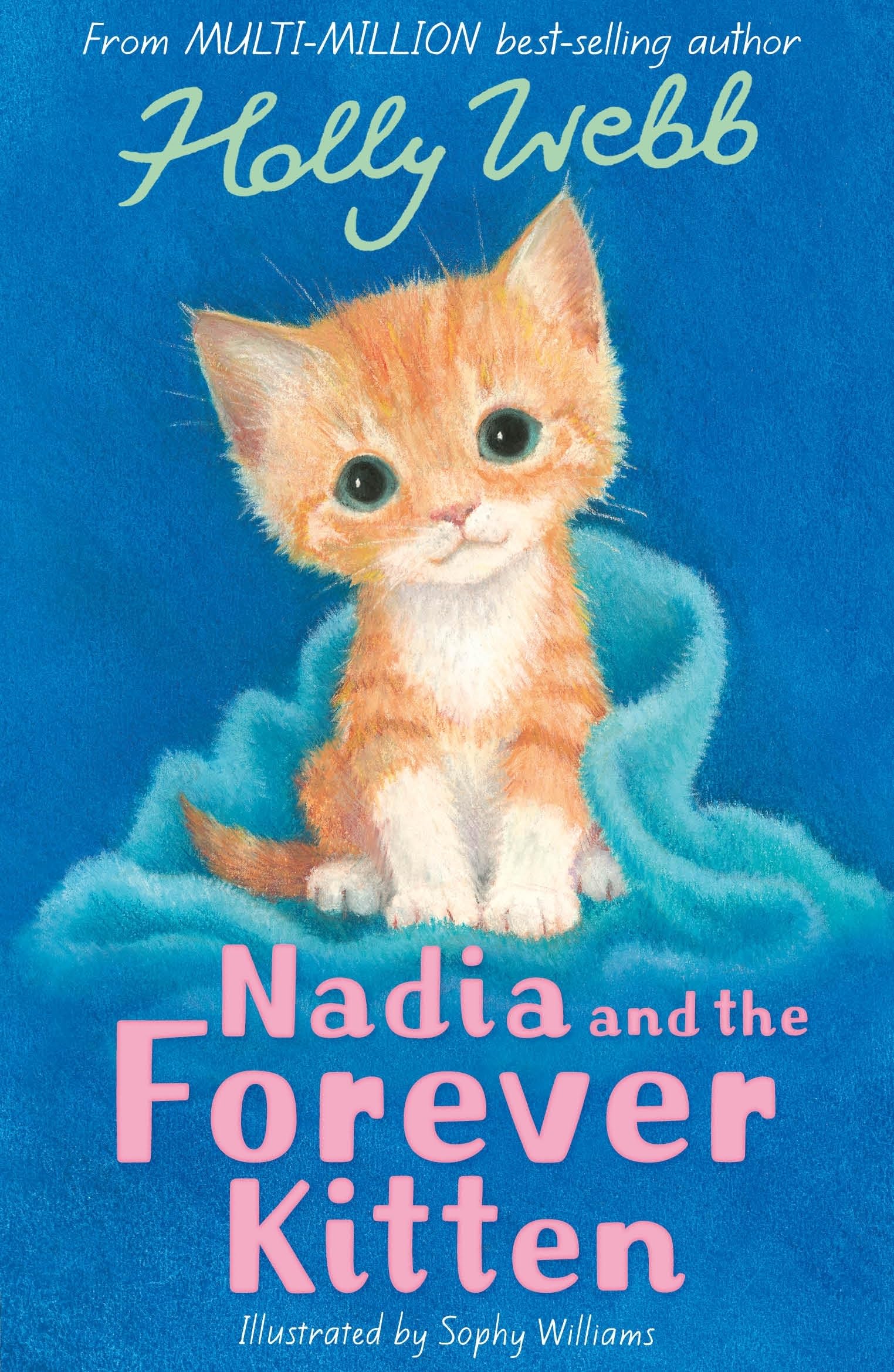Nadia and the Forever Kitten: 49 (Holly Webb Animal Stories)