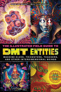 The Illustrated Field Guide to DMT Entities: Machine Elves, Tricksters, Teachers, and Other Interdimensional Beings