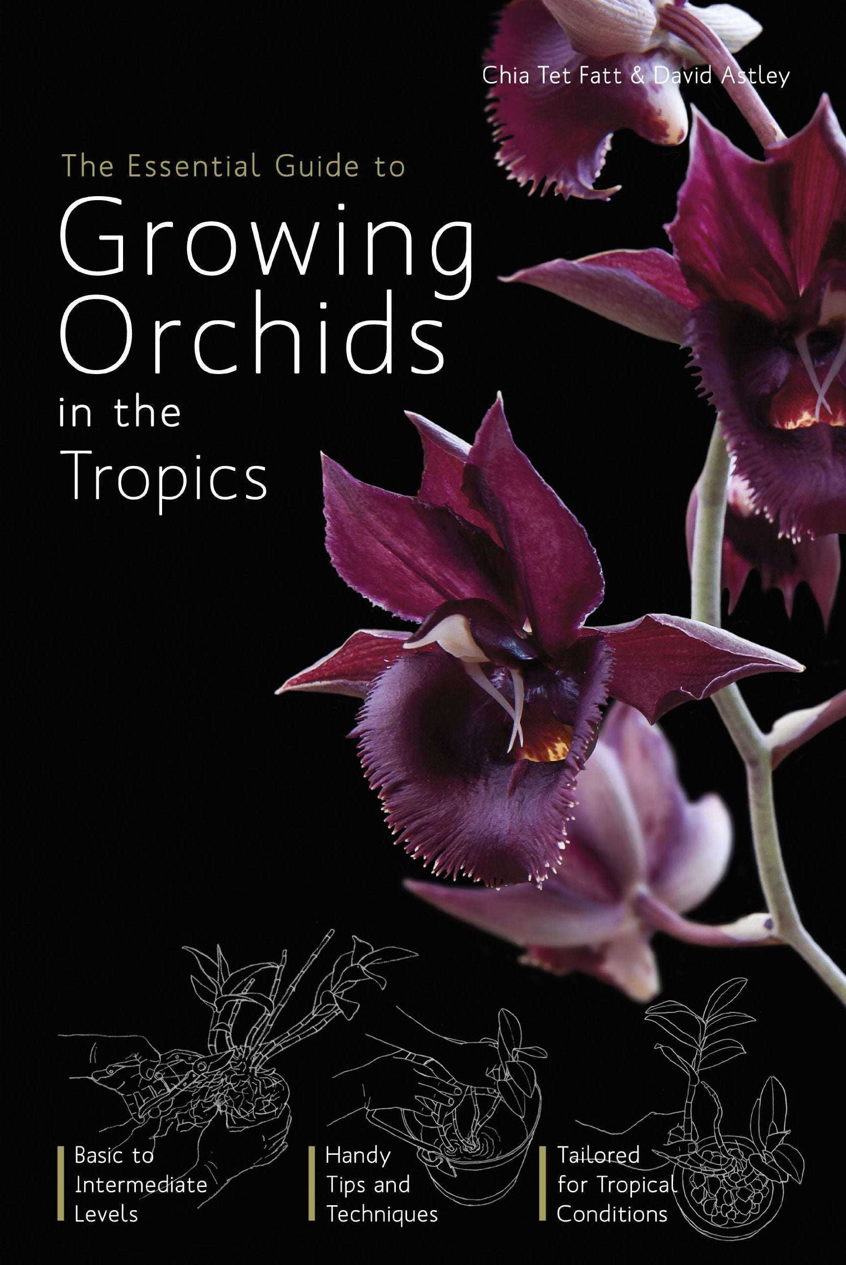 The Essential Guide To Growing Orchids In The Tropics,