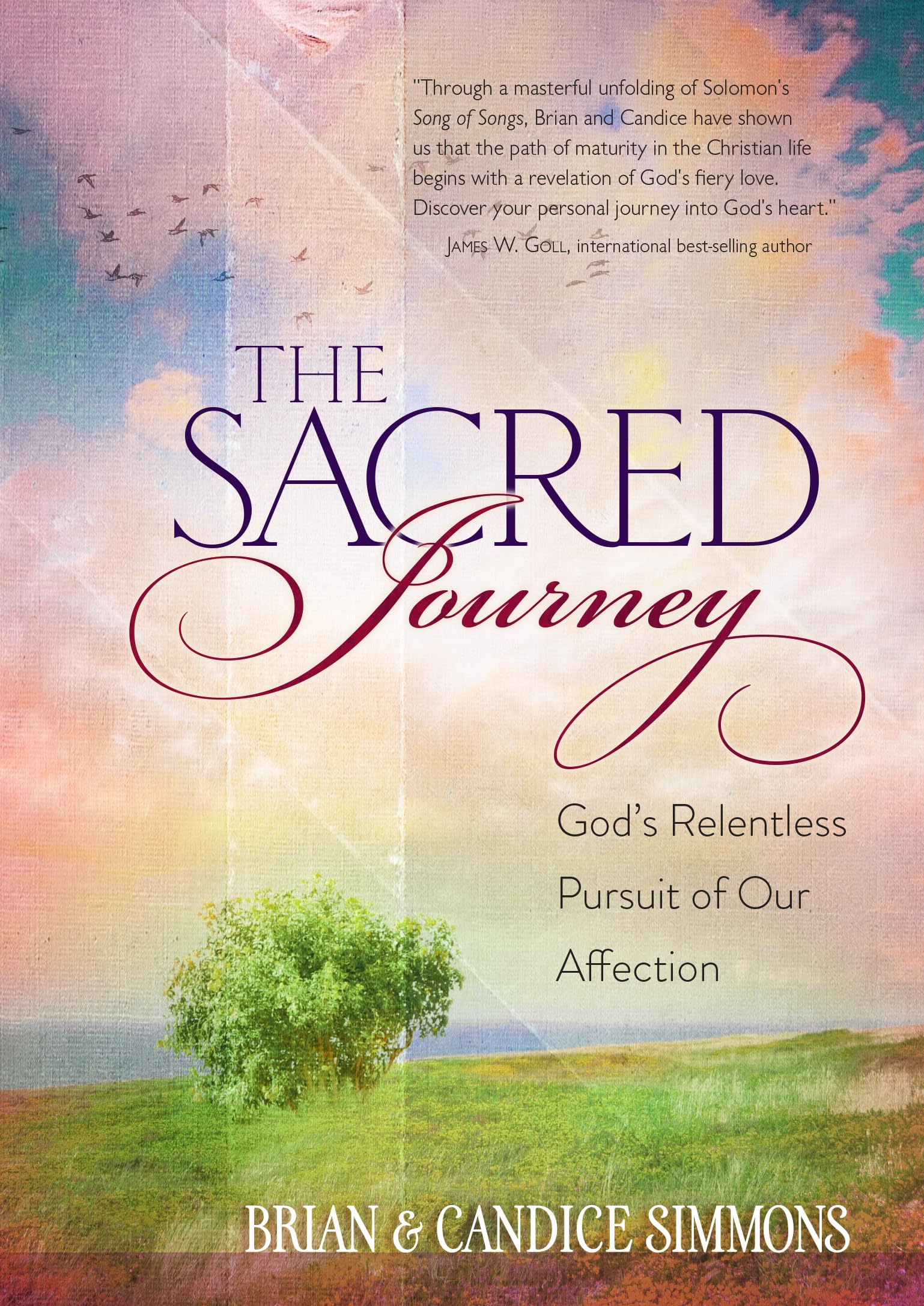 The Sacred Journey: Gods Relentless Pursuit of Our Affection (The Passion Translation, Paperback)  A Heartfelt Translation of 