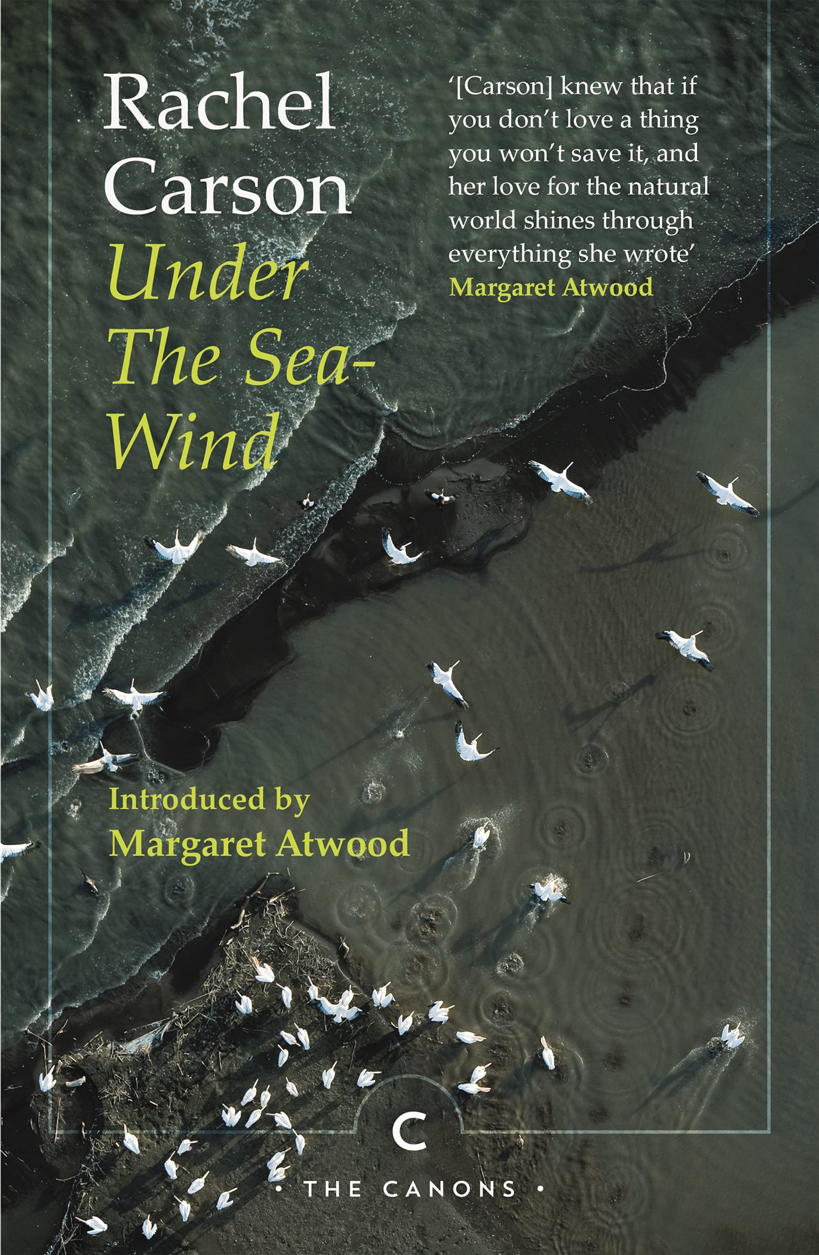 Under the SeaWind: Rachel Carson (Canons)