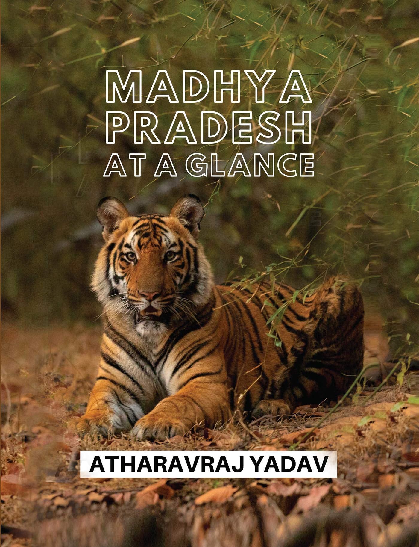 Madhya Pradesh At A Glance