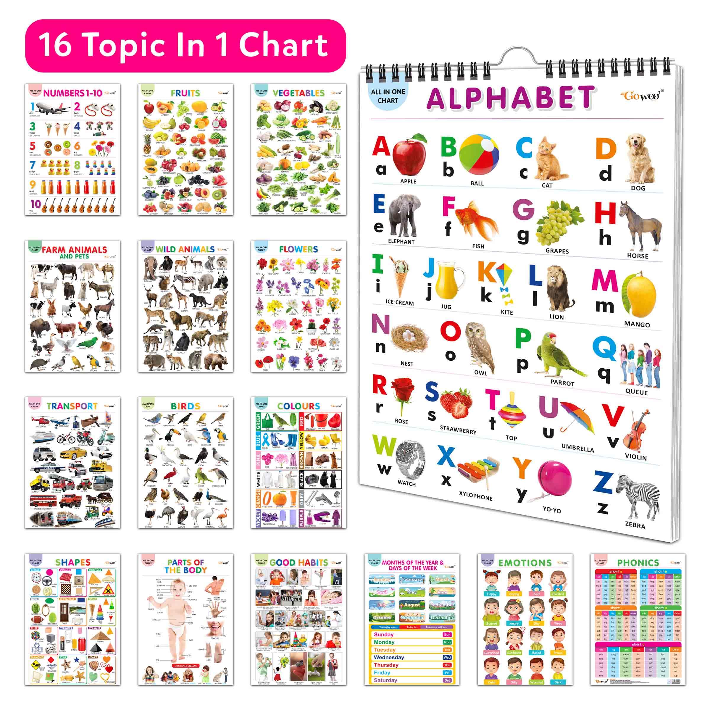 Essential Chart Of All In One : My First ALL IN ONE SPIRAL CHART Educational Chart books for toddlers Collection With 16 Topics,
