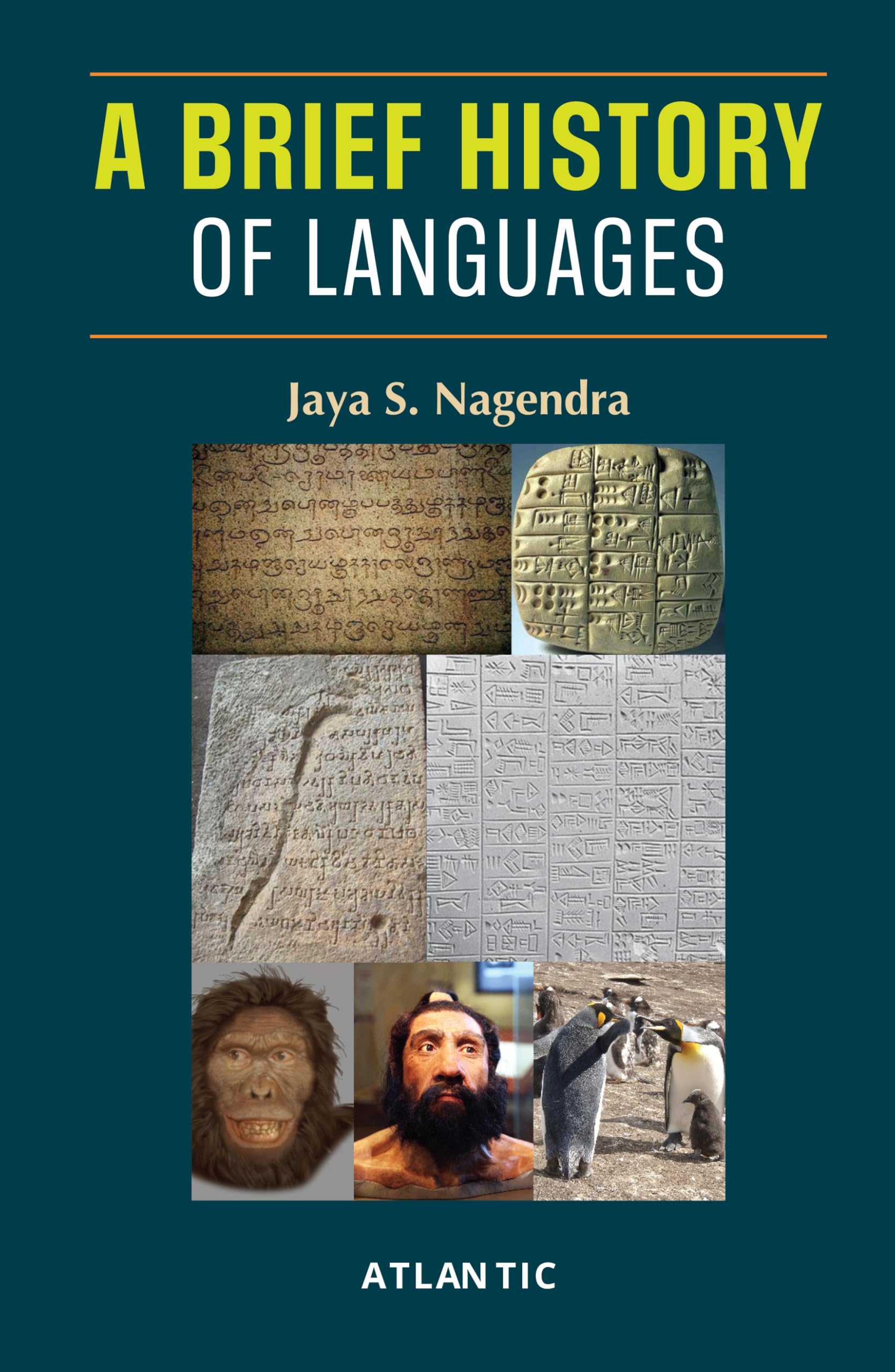 A Brief History of Languages