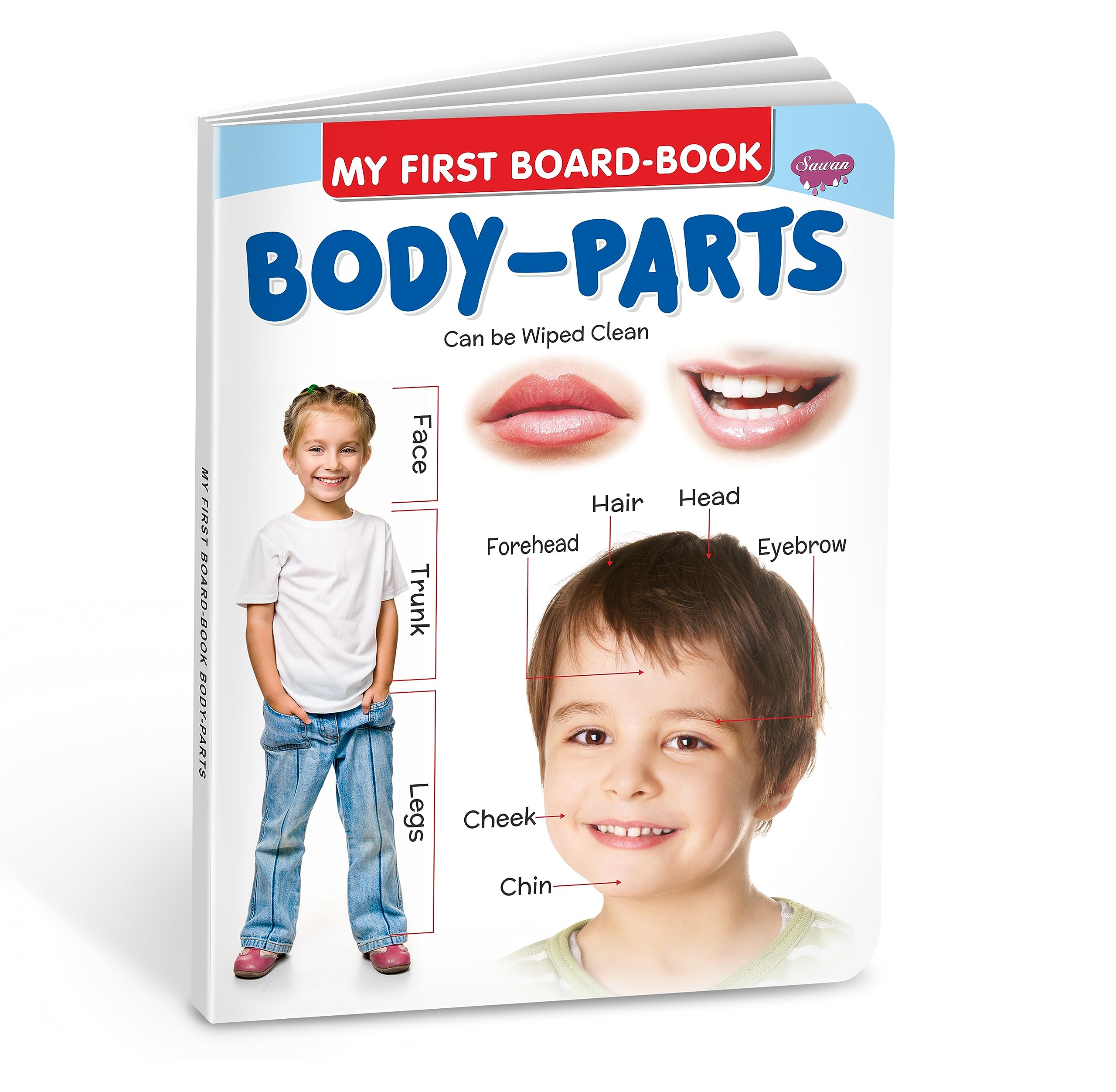 My First Board Books BodyParts | Big Size Board Book For Kids By Sawan [Hardcover] Sawan