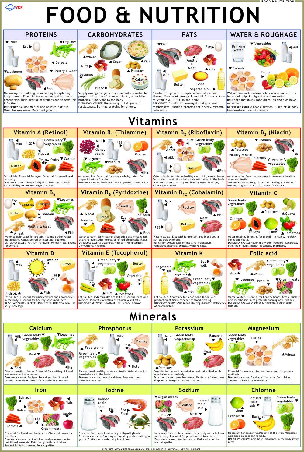 Food & Vitamin Chart ( 70 X 100 Cm )  Laminated