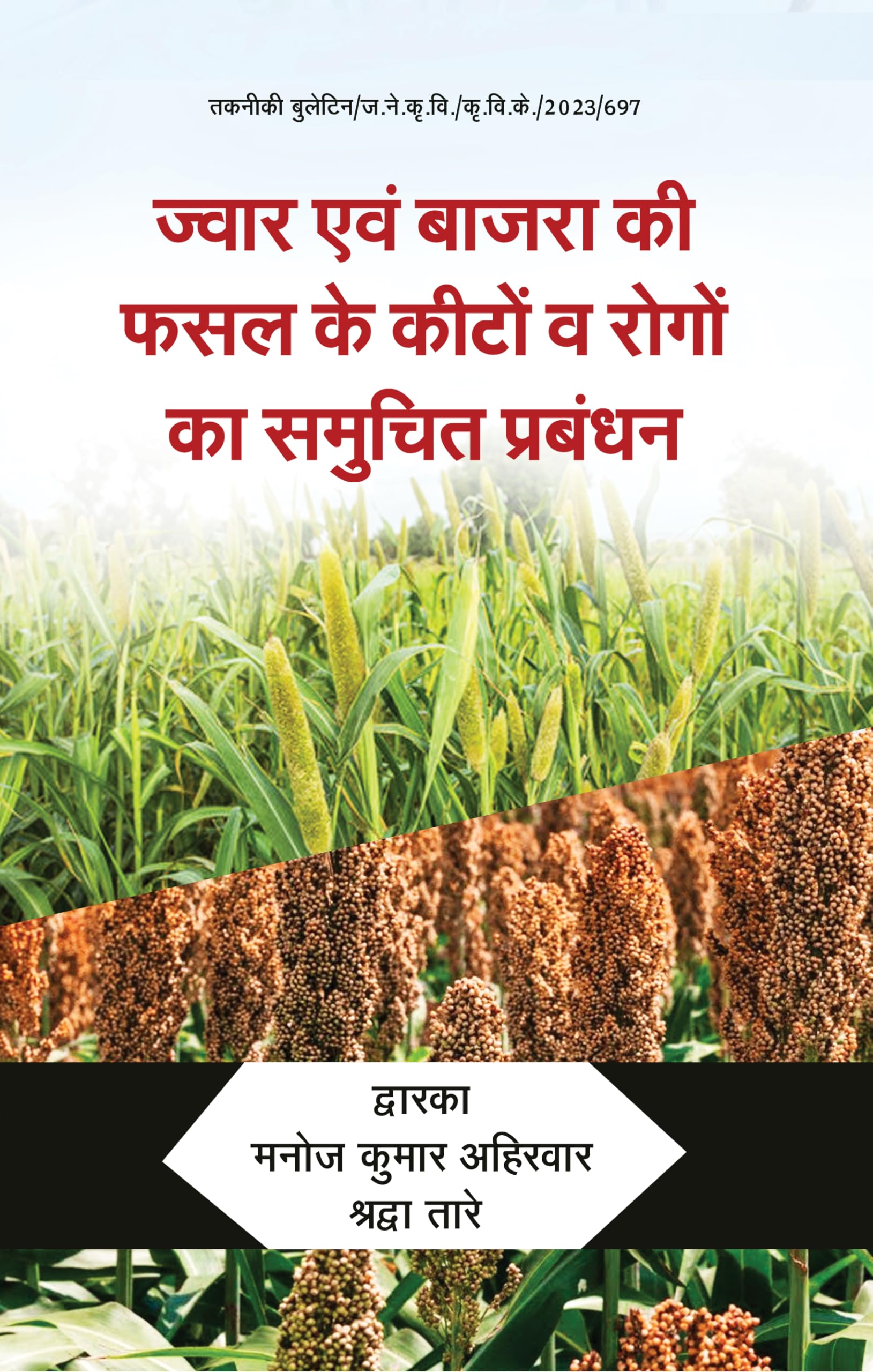 Jwar avm Bajra ki Fasal Ke Keeton avm Rogon ka Samuchit Prabandhan