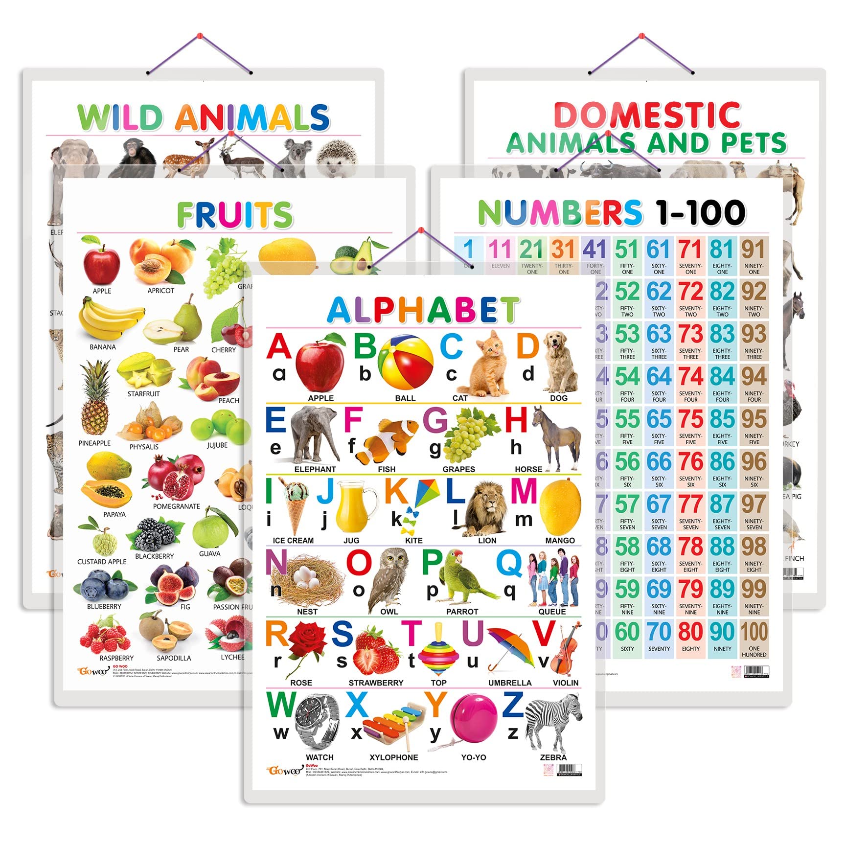 ChildS First Learning Experience Through Charts | Educational Combo Of 5 Charts (V2) [Hardcover] Sawan
