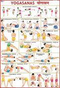 Yoga Chart ( 70 x 100 cm ) [wall_chart] Vidya Chitr Prakashan,yoga [Jan 01, 2016]