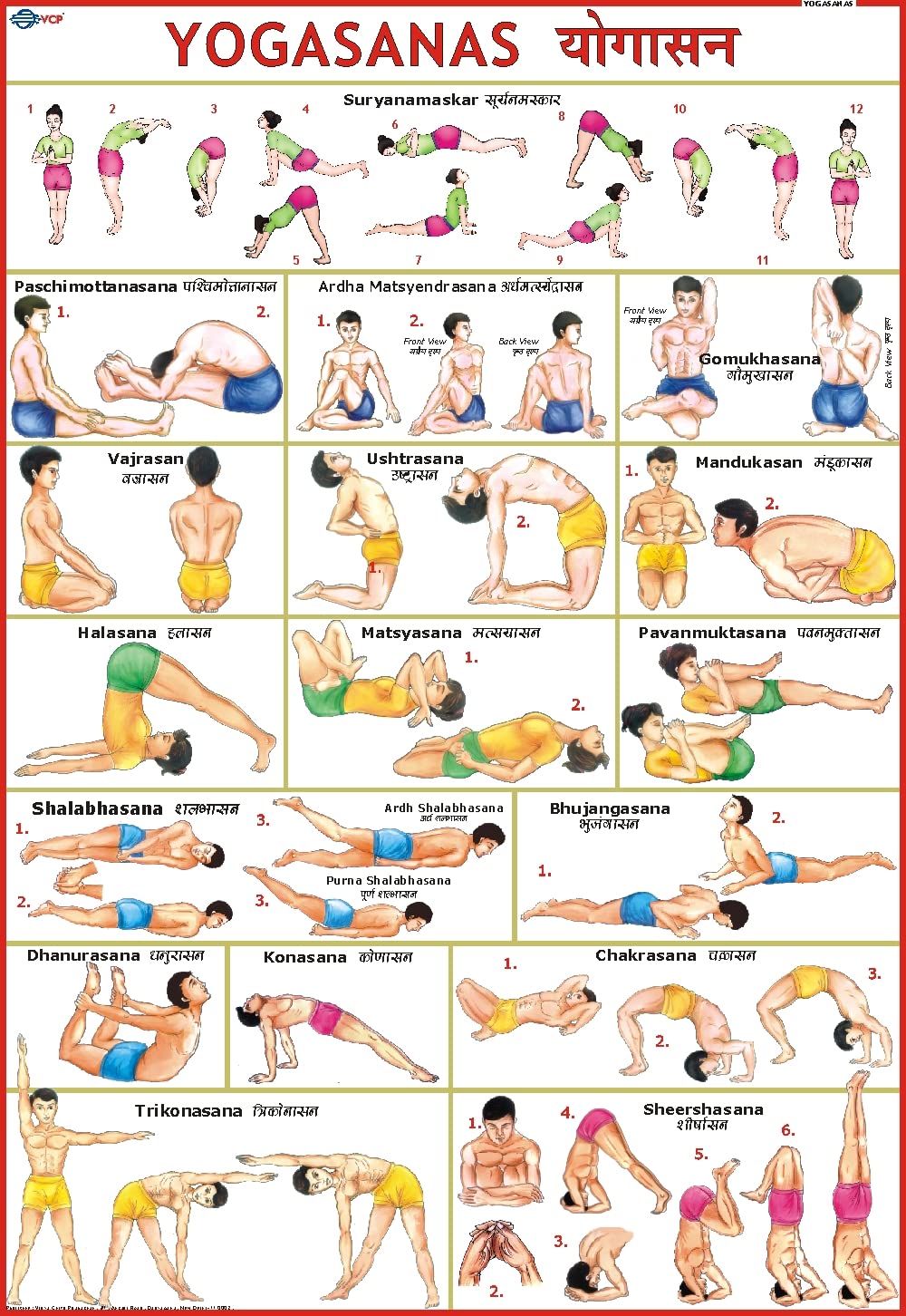 Yoga Chart ( 70 x 100 cm ) [wall_chart] Vidya Chitr Prakashan,yoga [Jan 01, 2016]
