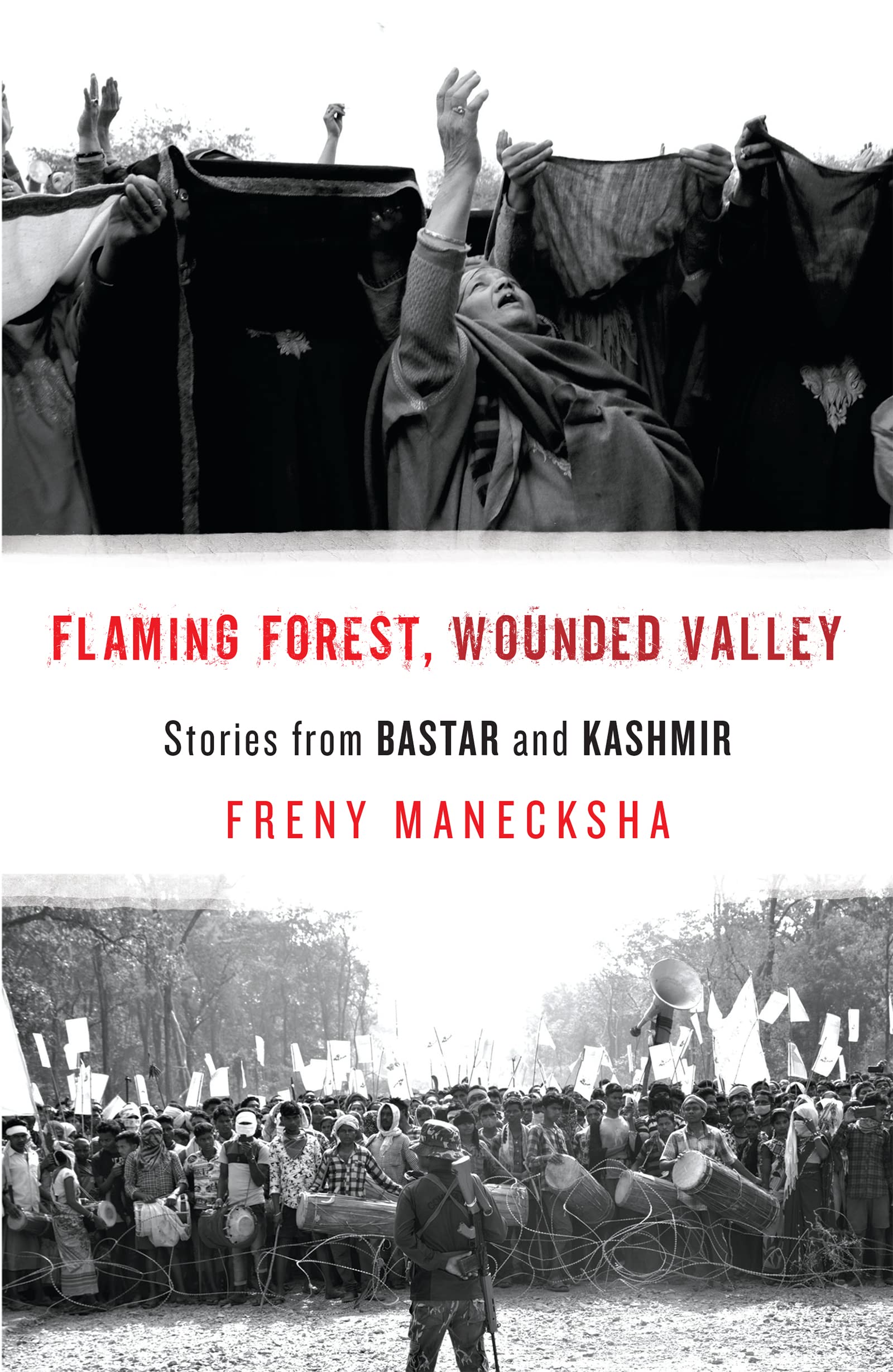 Flaming Forest,Wounded Valley:Stories From Bastar & Kashmir