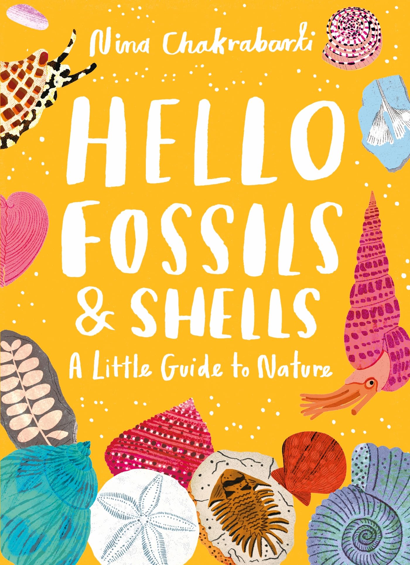 Little Guides To Nature: Hello Fossils And Shells