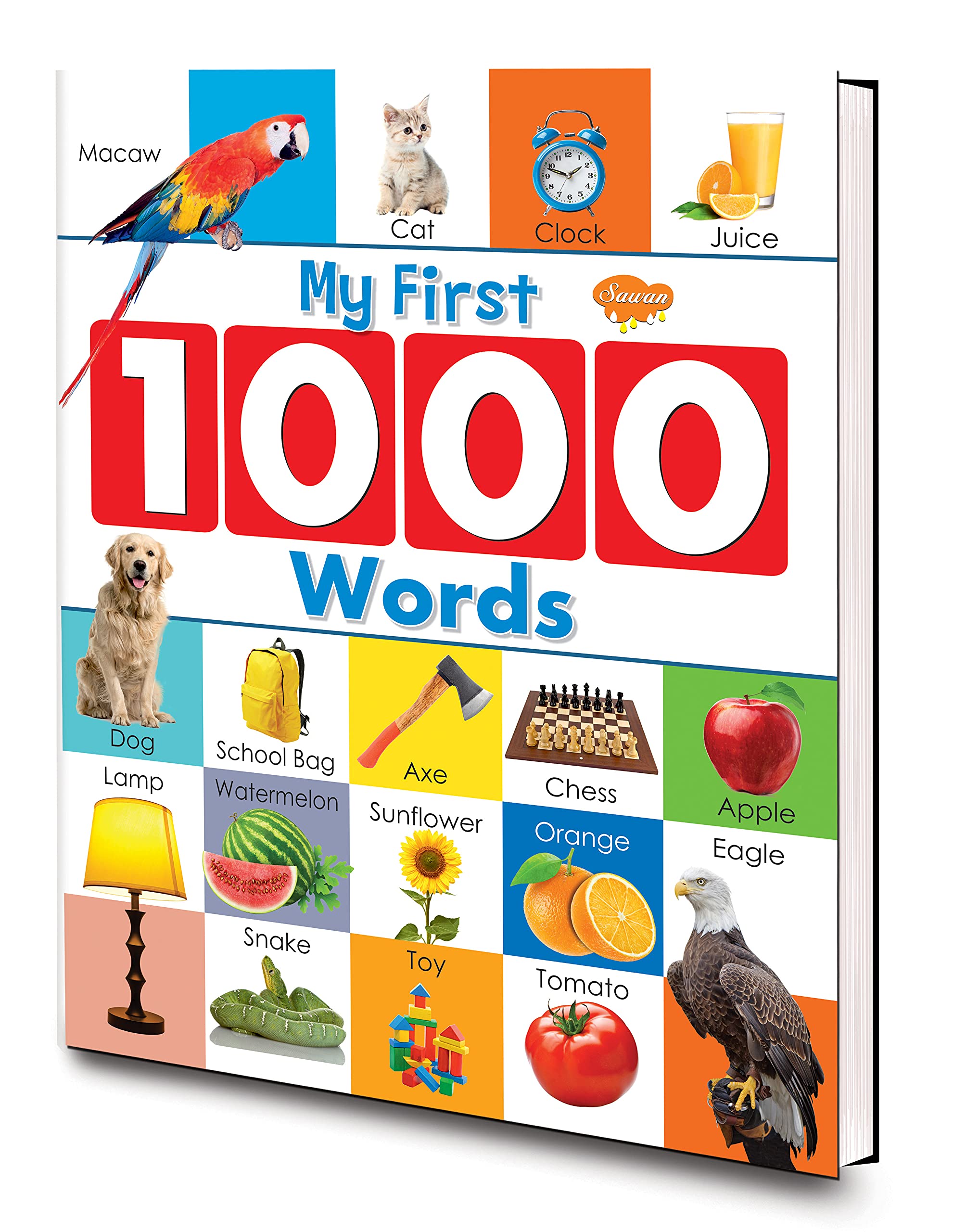 My First Picture Books, My First 1000 Words (Hard Bound)
