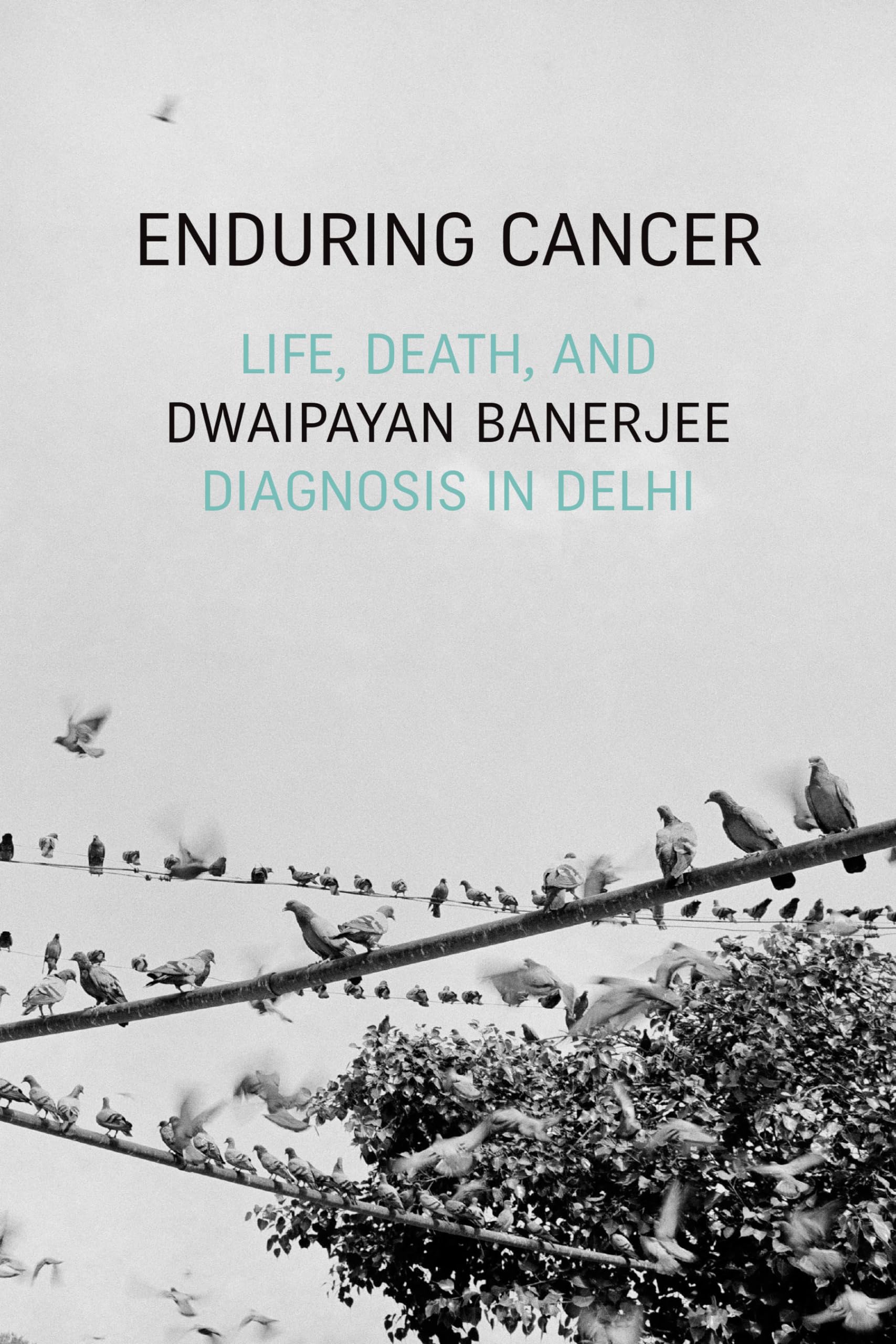 Enduring Cancer: Life, Death, and Diagnosis in Delhi (Critical Global Health: Evidence, Efficacy, Ethnography)