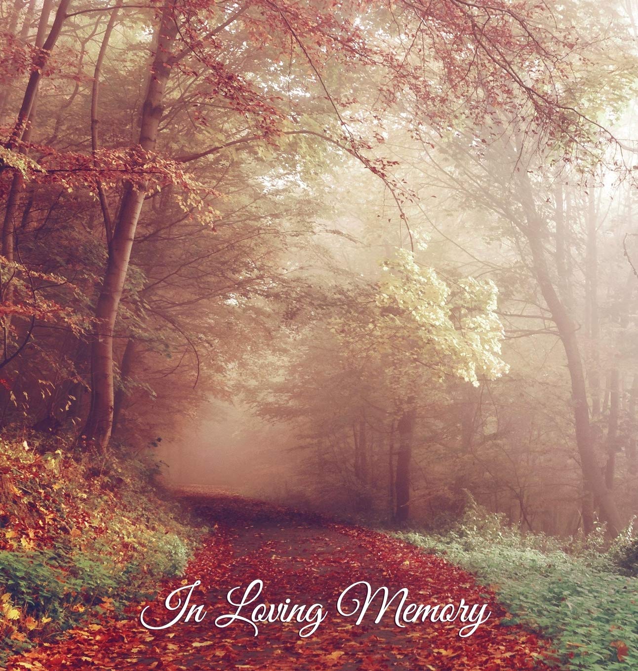In Loving Memory Funeral Guest Book, Memorial Guest Book, Condolence Book, Remembrance Book for Funerals or Wake, Memorial Ser
