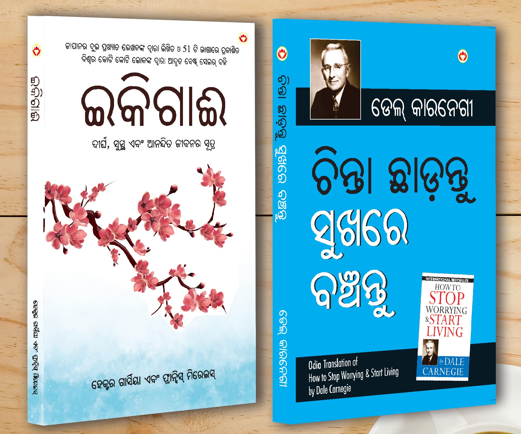Best Inspirational Books in Oriya  Ikigai + How to Stop Worrying & Start Living