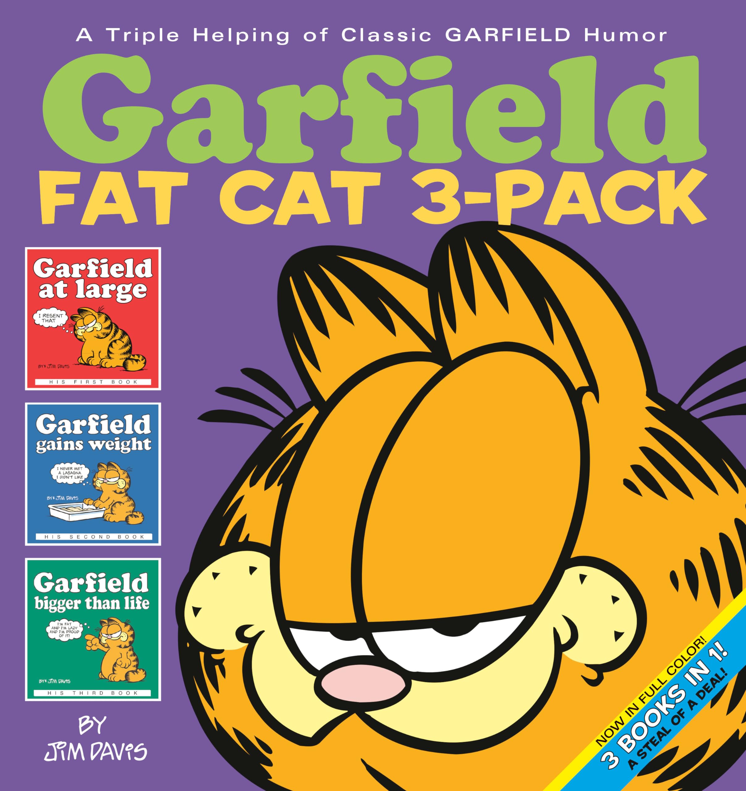 Garfield Fat Cat 3Pack #1