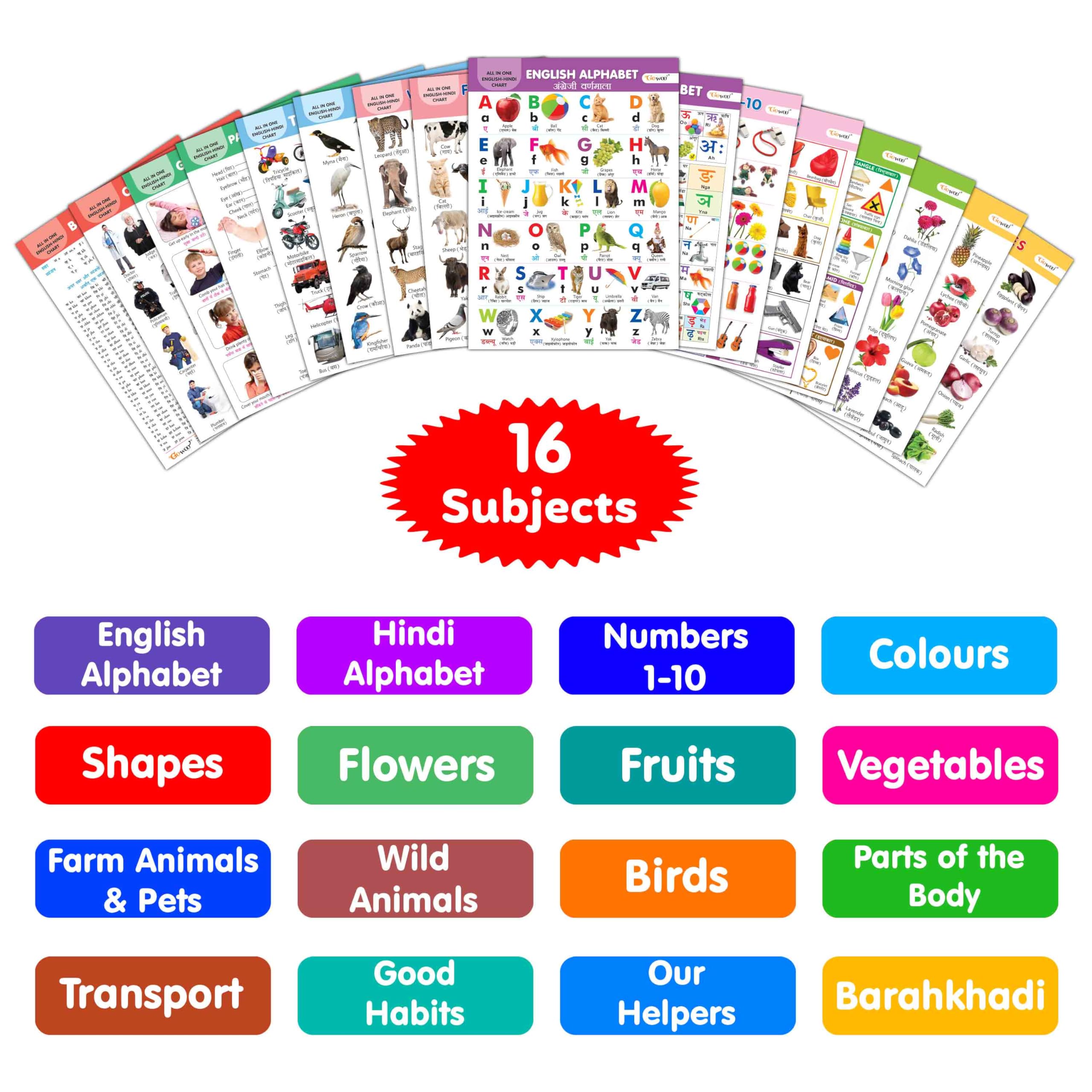 My First ALL IN ONE SPIRAL CHART ENGLISHHINDI : With 16 Topics ( Big Fonts and Realistic Pictures) | Gift Set For Kids