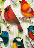 My Notebook Birds