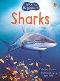Sharks (Usborne Beginners) (Beginners Series)