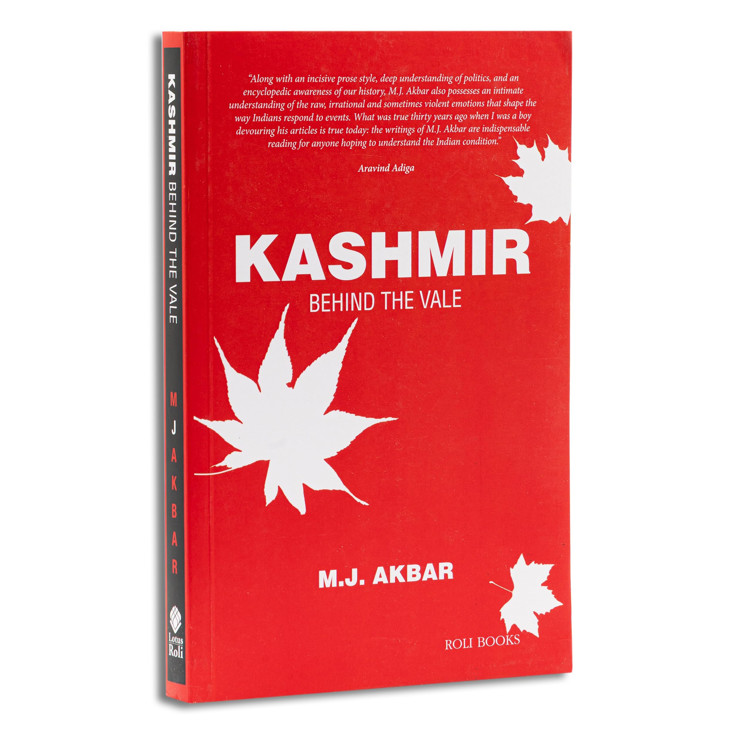 Kashmir: Behind the Vale
