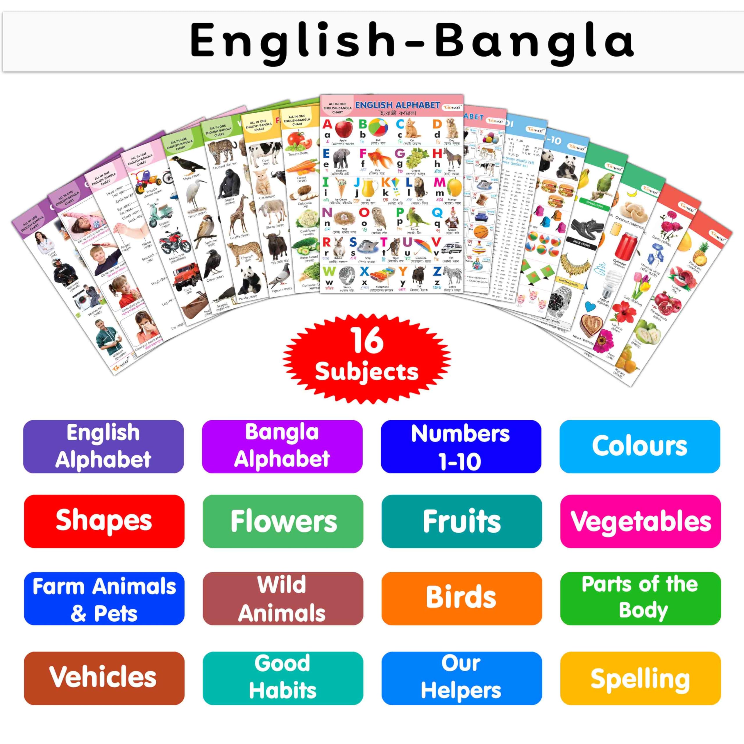 ENGLISHBANGLA Chart For Kids (16 Charts ) 36 x 50 cm  Children Spiral Wall Picture Chart