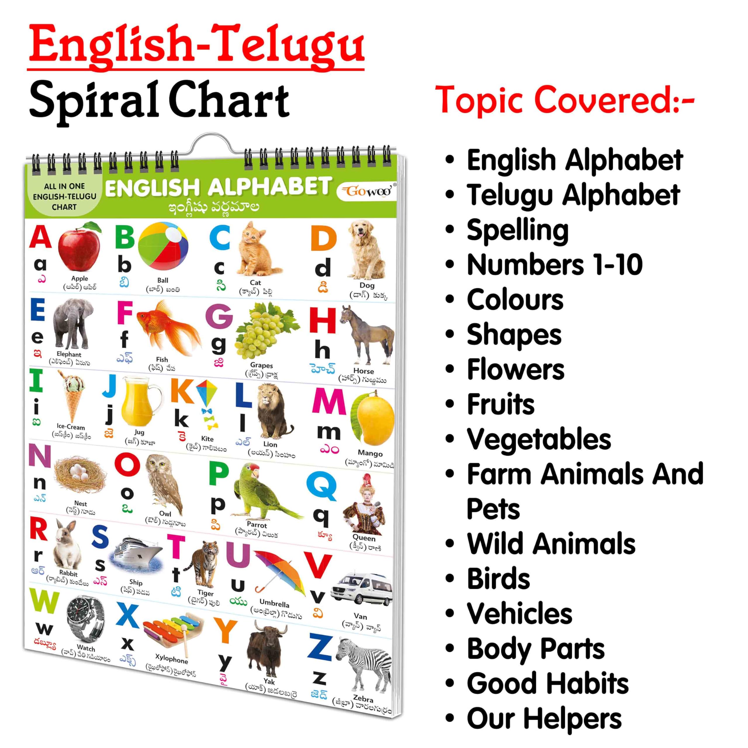 Chart Book Collections For Early Learning : Kids learning Chart book, My First ALL IN ONE SPIRAL CHART ENGLISHTELUGU Kids Cha