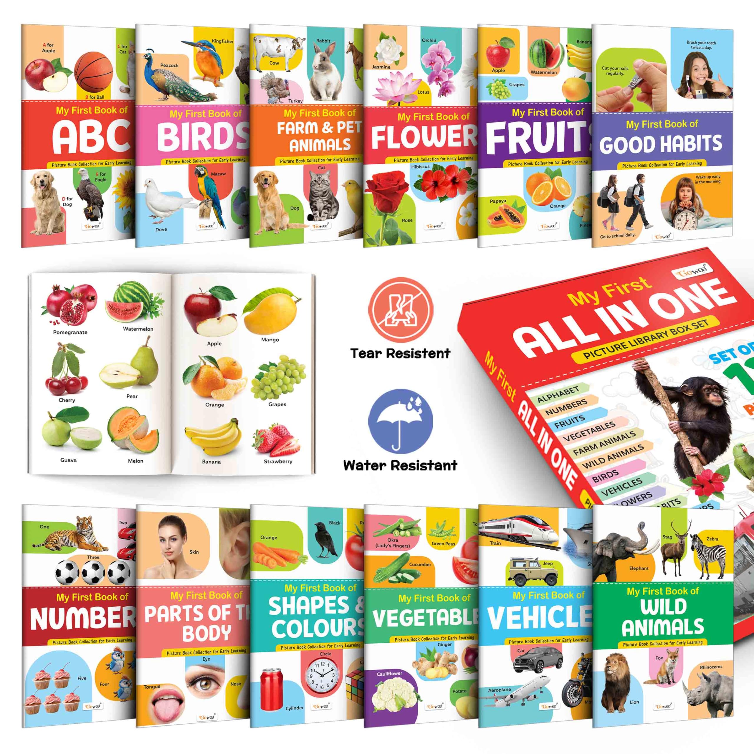 Lkg Class Picture Book Box Set (Red Edition) : Books For Children, All In One essential Book, Gift Set For Kids My First All in 
