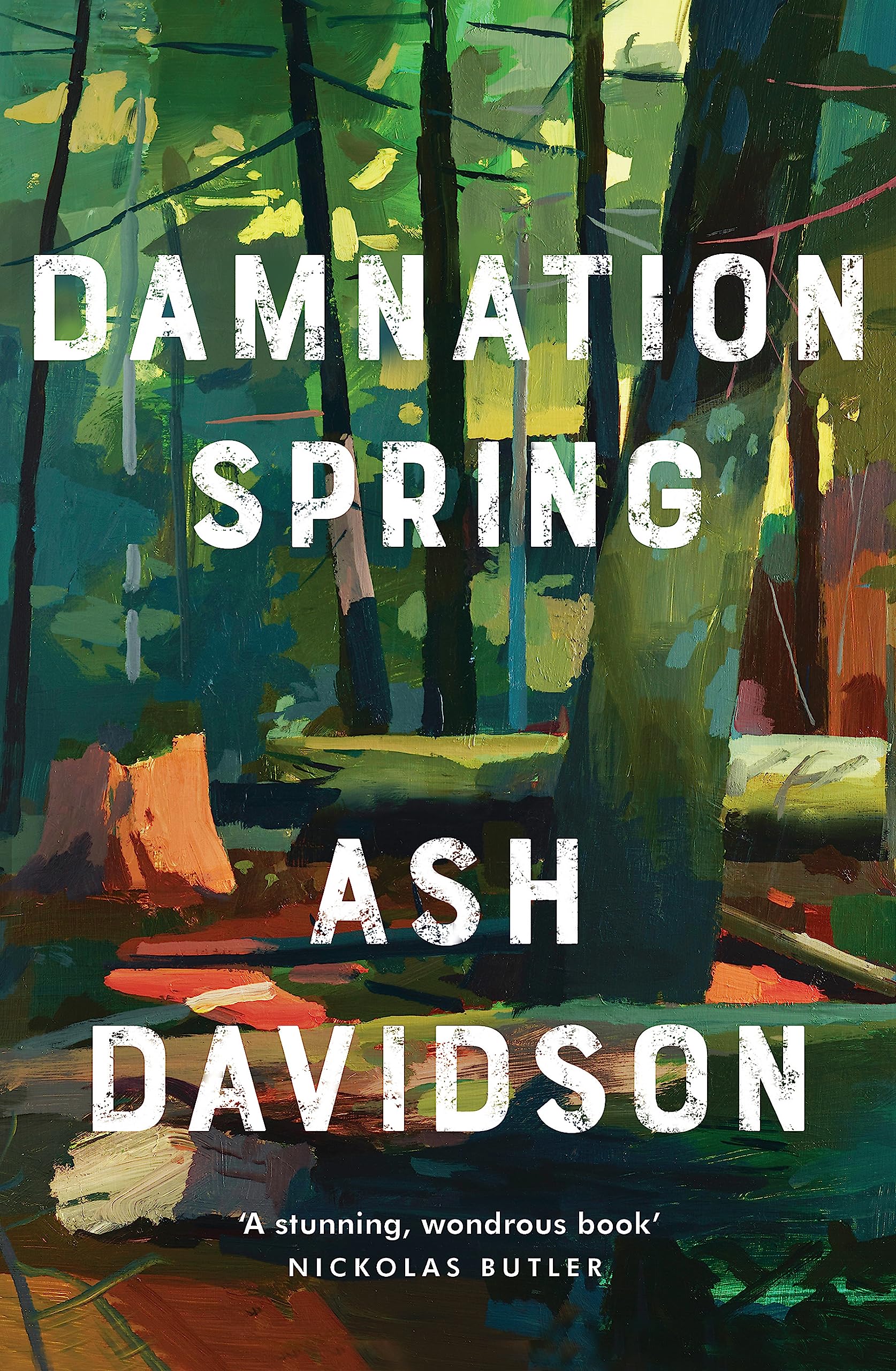 DAMNATION SPRING