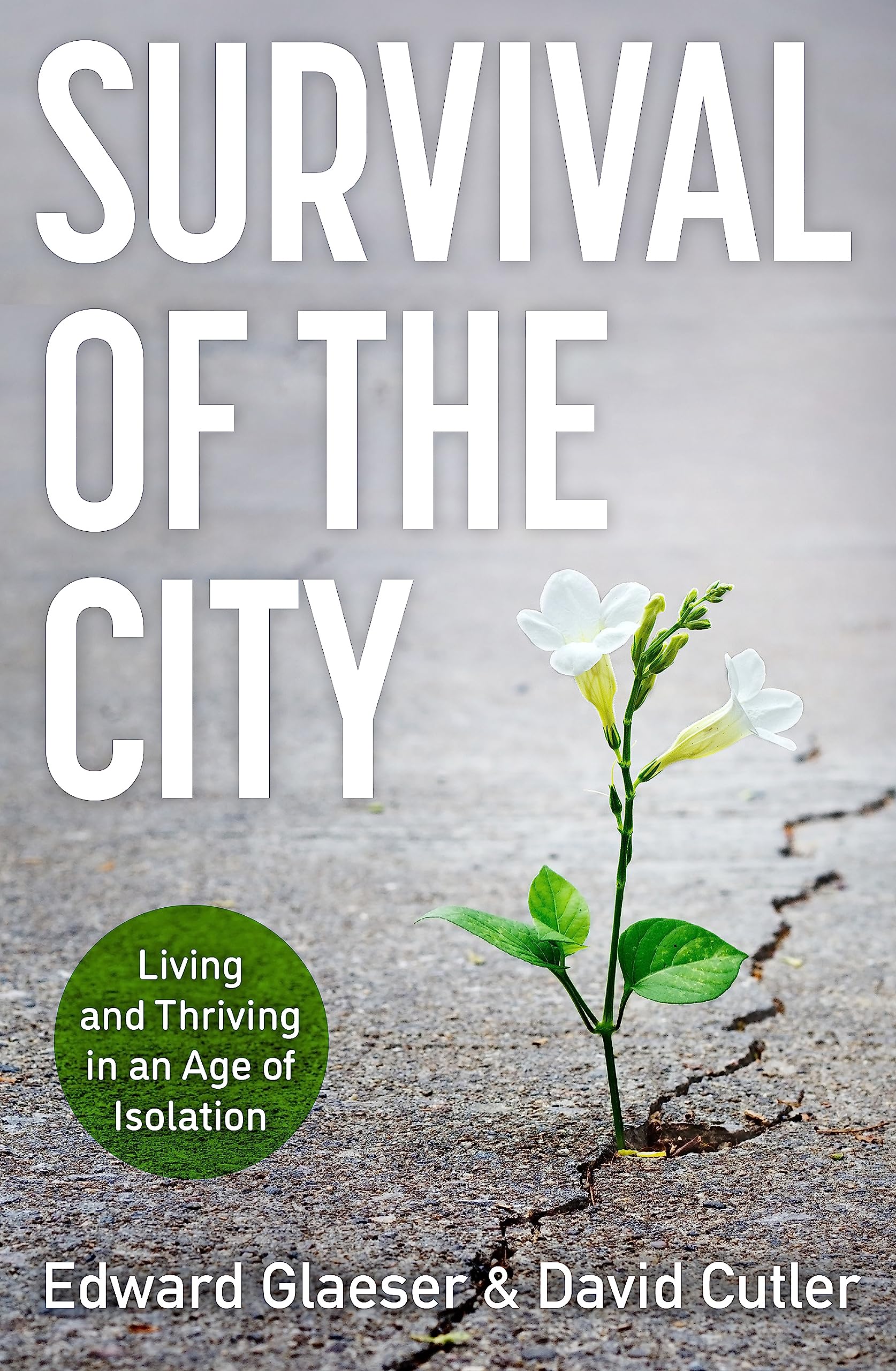 Survival Of The City: Living And Thriving In An Age Of Isolation