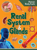 Human Body: Renal System & Glands Human Body Facts
