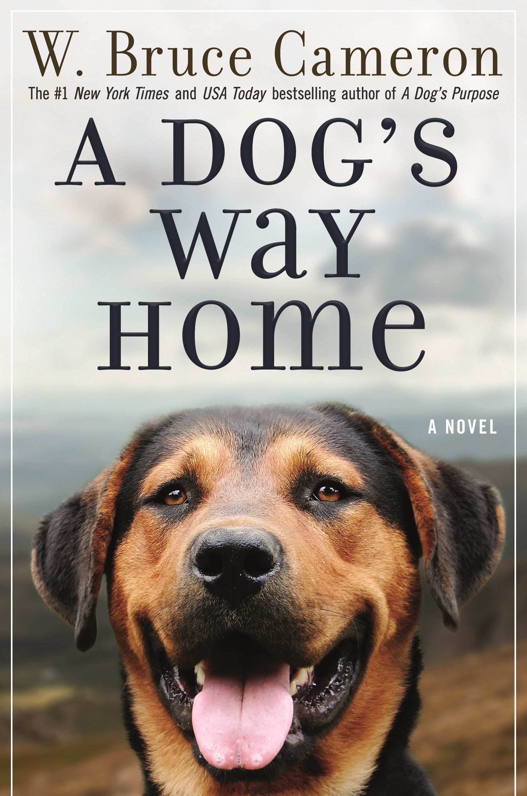 A Dogs Way Home: A Novel (A Dogs Way Home Novel, 1)