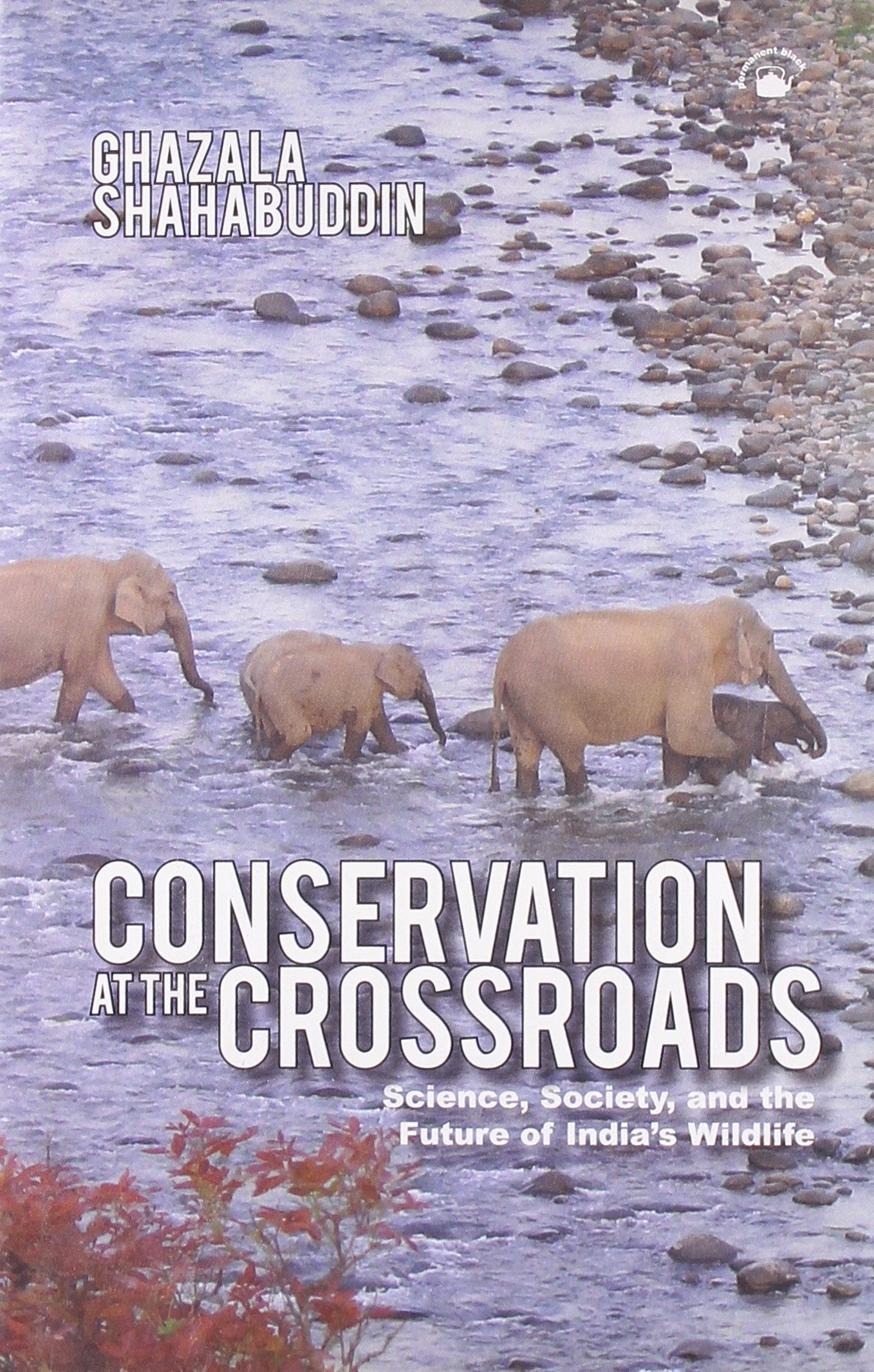 CONSERVATION AT THE CROSSROADS (HB)