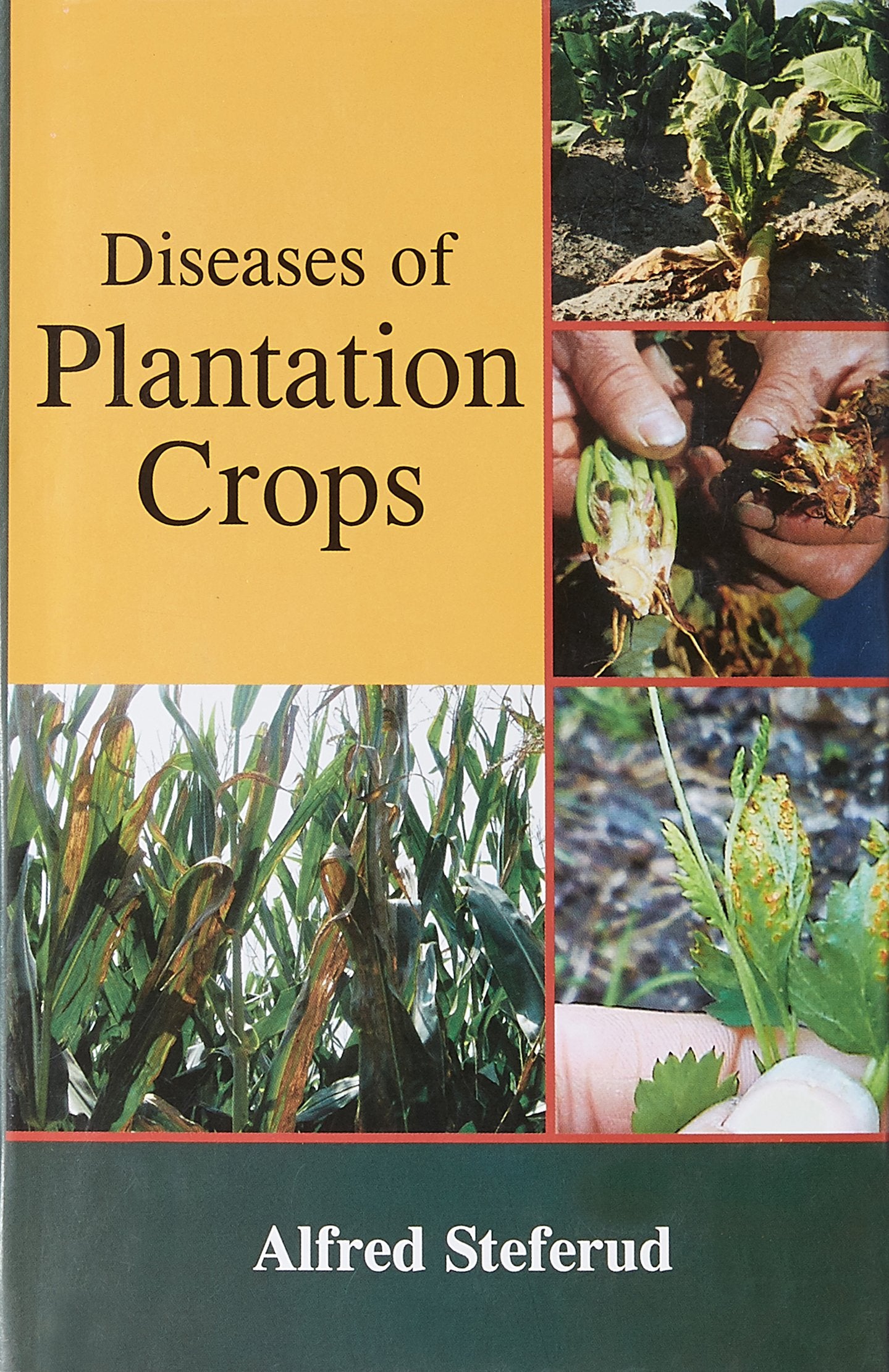 Diseases Of Plantation Crops
